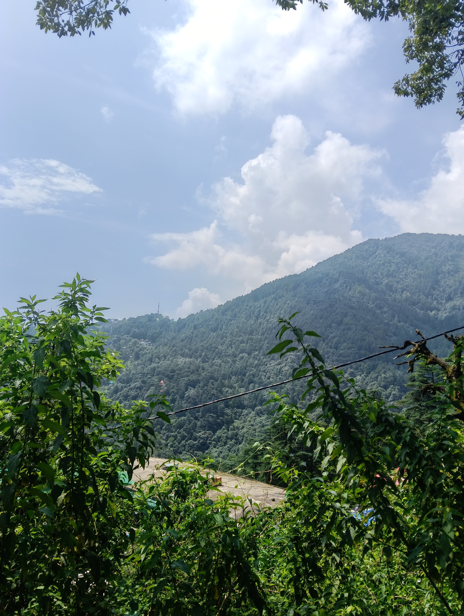 The image depicts a lush green mountainside, partially obscured by the foreground foliage of trees and bushes. The sky above is a clear blue, punctuated by scattered white clouds. In the mid-ground, the slopes are densely covered with trees, creating a textured carpet of green. A paved area, possibly a road or a platform, is visible in the lower mid-ground, with some structures and what appear to be colorful tarps or awnings. A tall, slender tower with an antenna is situated on a distant ridge, suggesting a telecommunications or observation post. The overall impression is one of a natural, mountainous landscape with signs of human presence. While the image does not explicitly show the city of Bhagsu, India, the dense vegetation and mountainous terrain are consistent with the landscape of the region. There are no people or specific actions depicted in the image.