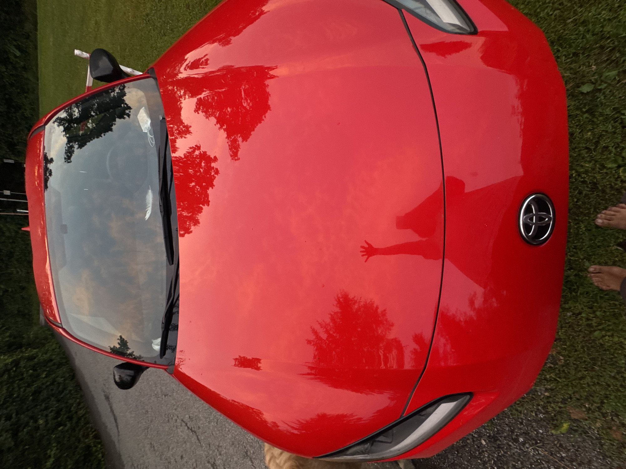 A red Toyota sports car is parked on a paved surface next to a grassy area. The car's hood is wet, reflecting the sky and trees. A person's hand is visible raised in a wave, reflected on the hood. A piece of white material, possibly a face mask, is on the windshield. The car has a Toyota logo on the front. A dog is partially visible on the left side of the image. The scene appears to be outdoors, with trees and vegetation surrounding the area.