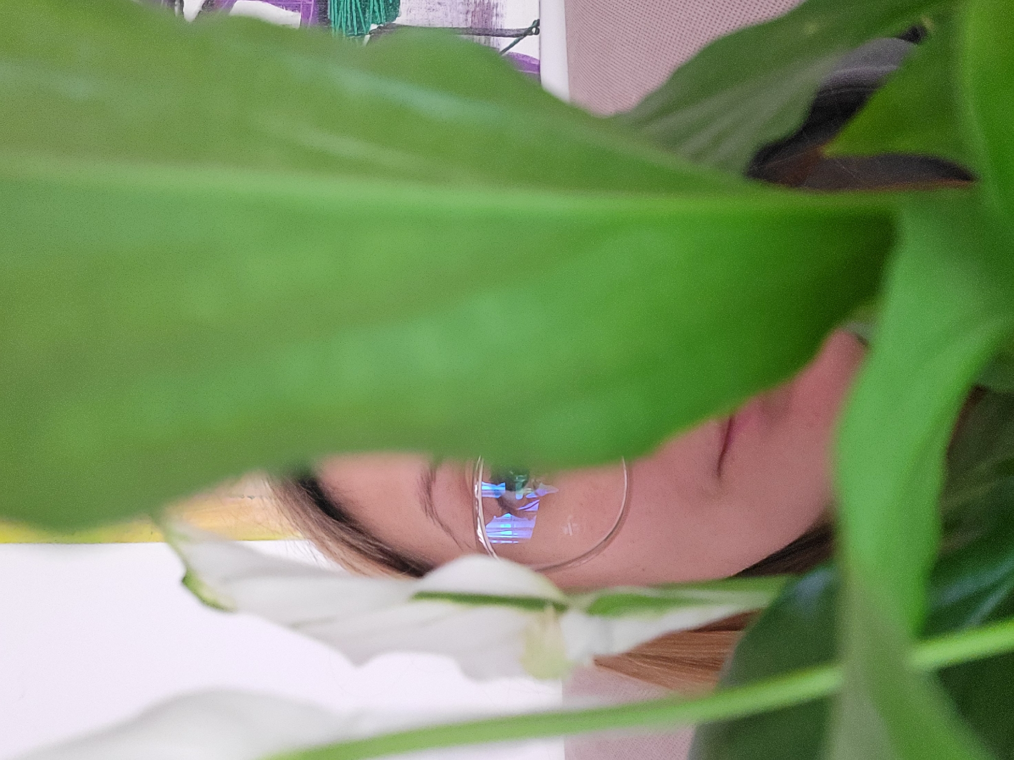 The image shows a partially obscured face of a person wearing glasses, peering through the foliage of a plant. A white flower, likely part of the same plant, is in the foreground. The person is looking directly at the camera. The setting is unknown, and there is no visible indicator that the location is Budva, Montenegro.