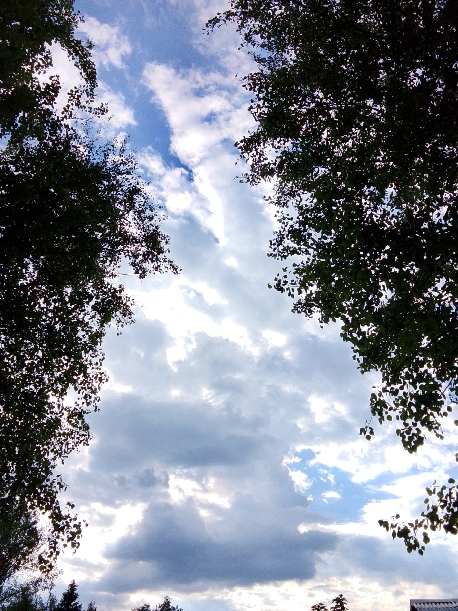 The image captures a view looking upwards through the branches of trees towards a partly cloudy sky. The trees frame the scene on both sides with their dark foliage silhouetted against the lighter sky. The sky is a mix of blue patches and varying shades of gray and white clouds. The clouds range from light, wispy formations to darker, more dense areas. The overall lighting suggests it may be daytime, but the thick clouds could indicate overcast conditions. In the very bottom of the frame, silhouettes of trees can be seen. The photo was taken in 1-Go Maya, Russia.