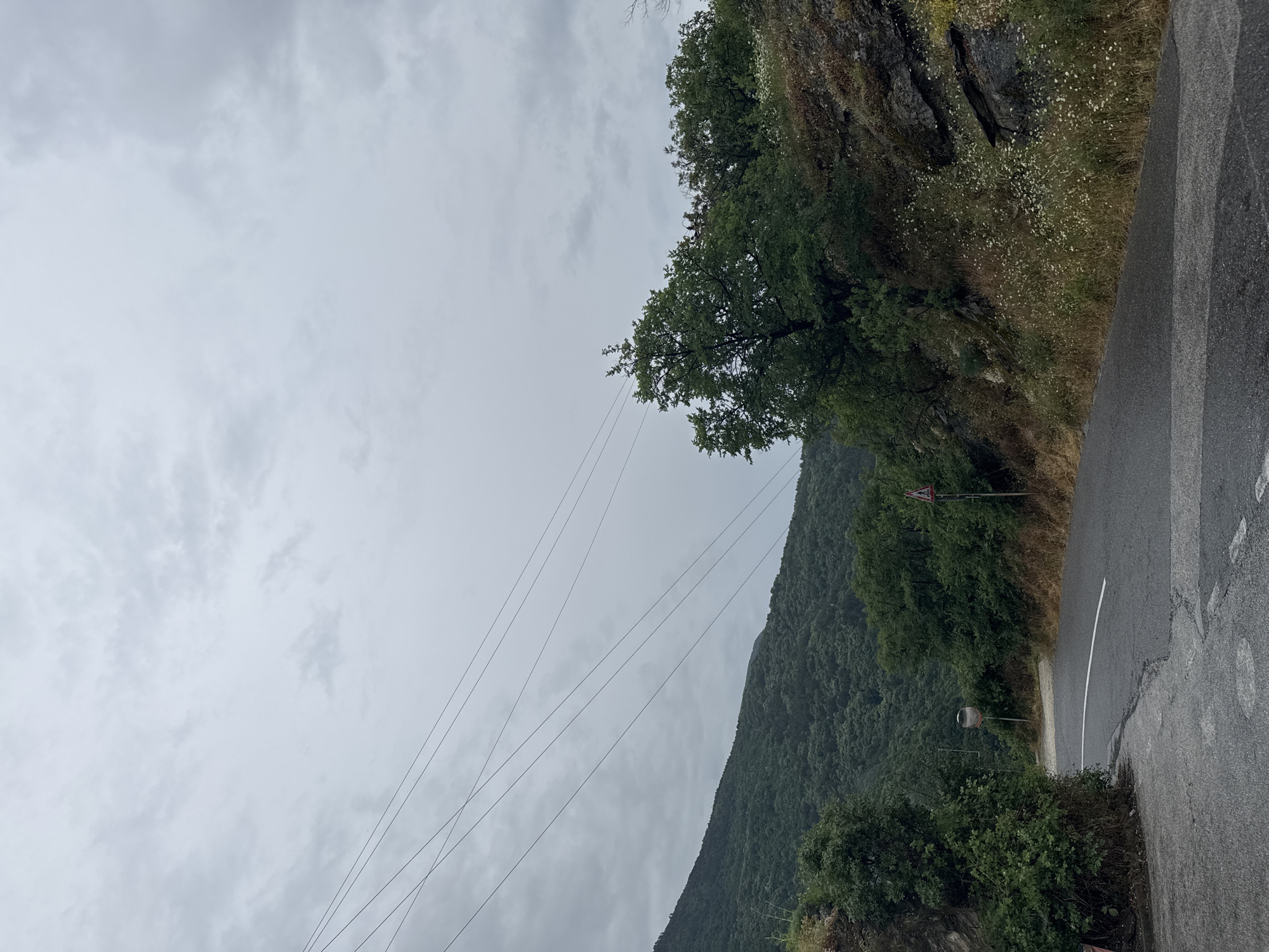 The image depicts a cloudy, overcast day in a rural mountainous area. A paved road curves through a densely forested hillside. Power lines are visible crisscrossing the sky. The vegetation is lush green with some dry grasses and small white wildflowers growing on the rocky incline. There is a traffic sign on the right side of the road, and a convex mirror is mounted on a pole in the distance. The scene suggests a remote, natural landscape, likely a road leading through a mountain pass. The location is identified as Lyaskovo, Bulgaria.