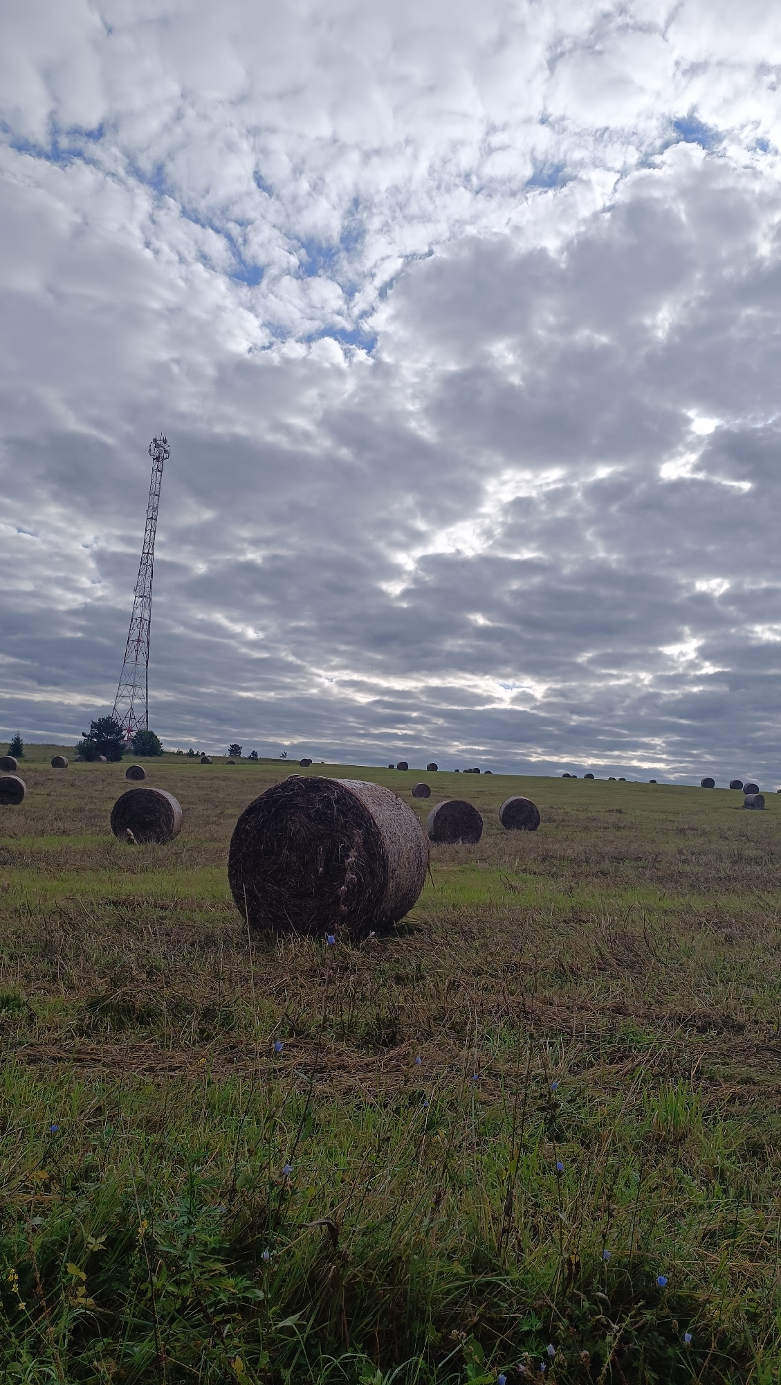 A wide-angle, full-frame photograph captures a landscape scene under a cloudy sky. The foreground features a field with tall, green grass and scattered, dry stalks of hay. Several large, round bales of hay are visible in the field, some in the mid-ground and others further in the distance. In the left mid-ground, a tall, red and white lattice tower stands prominently, extending towards the sky. The background consists of rolling hills covered in dry grass, and a dense, overcast sky with patches of blue peeking through. The overall impression is one of a rural, agricultural setting, possibly during harvest season. The image does not contain any people or evidence of immediate human activity.