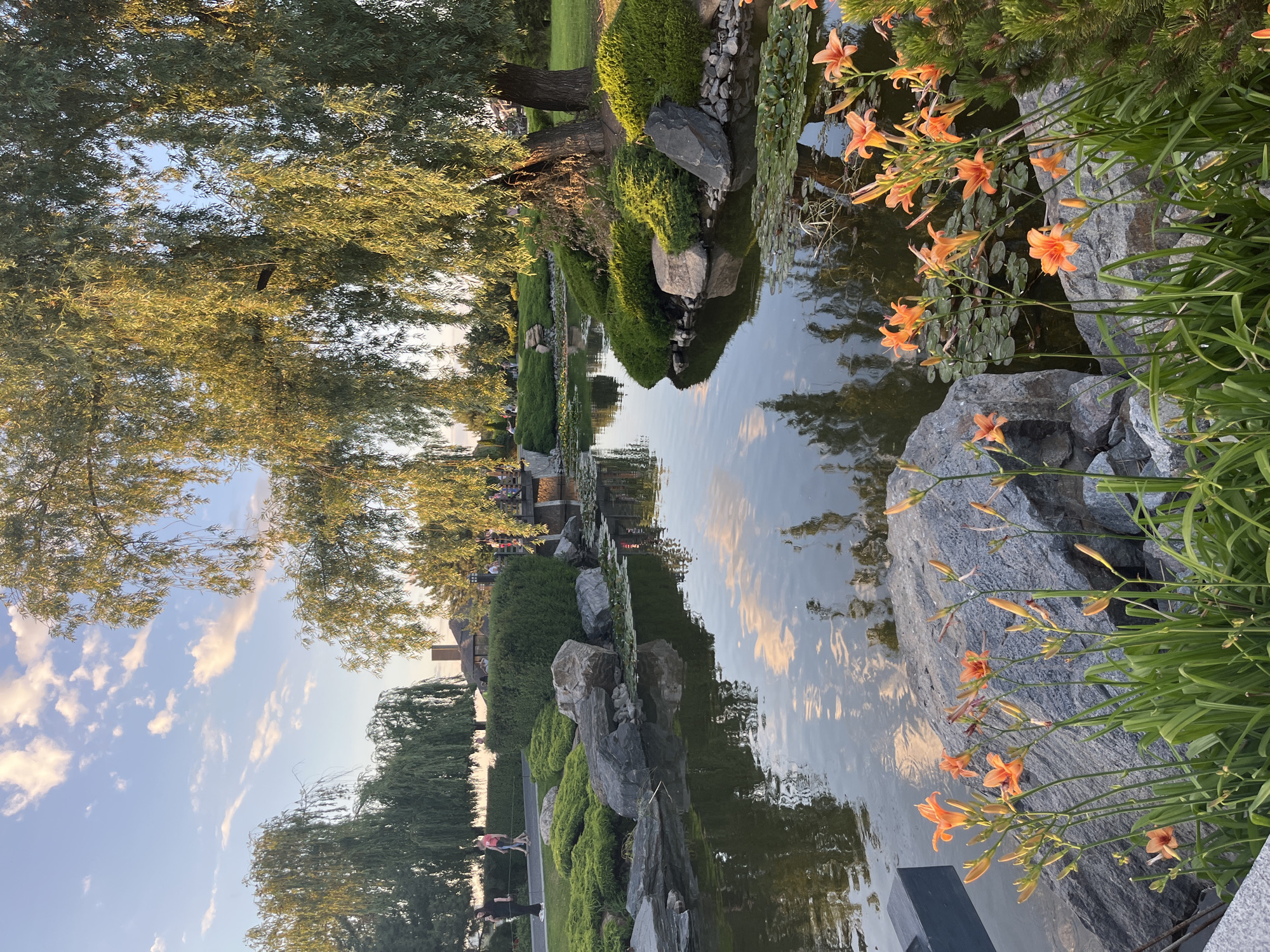 This image depicts a serene park scene, likely the Dnipro Botanical Garden in Dnipro, Ukraine, during what appears to be late afternoon or early evening, with the sun casting a warm glow. Dominating the foreground are vibrant orange daylilies and lush green foliage, bordering a tranquil pond. The pond's surface reflects the soft, pastel hues of the sky and scattered clouds, creating a peaceful ambiance. Several large, grey rocks are strategically placed along the pond's edge, interspersed with more greenery.
In the middle ground, a meandering stream flows, crossed by a charming wooden bridge. People are visible strolling along a paved pathway to the left, near a row of elegant weeping willow trees that lend a graceful, natural aesthetic to the landscape. Beyond the pathway, a building with a rustic architectural style, possibly a pavilion or part of the garden's infrastructure, is partially visible. The overall impression is one of a well-maintained, idyllic public space designed for relaxation and appreciation of nature.