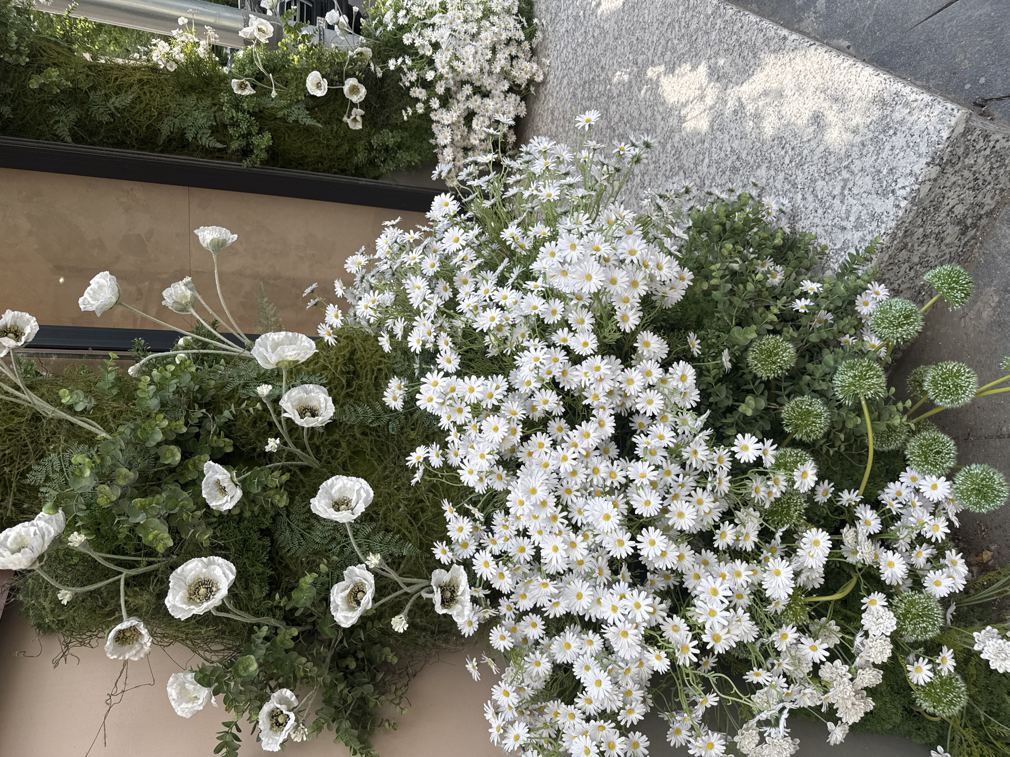This media file captures a close-up, overhead view of an outdoor floral arrangement. The main subjects are numerous artificial flowers and greenery, including clusters of small white daisies with yellow centers, large white poppy-like flowers with black centers, and spherical green decorative elements that resemble alliums. These are interspersed with various shades of green foliage, including feathery ferns and rounded leaves. The flowers appear to be arranged in a textured, dark green base, possibly moss or artificial turf, which is then placed on a light brown surface and adjacent to a grey speckled stone surface, suggesting an urban or landscaped setting.
The arrangement is bathed in natural light, casting subtle shadows on the stone surface, indicating it's likely daytime, perhaps late morning or afternoon, given the quality of light. There are no people visible, and the focus is entirely on the artificial botanical display. The setting appears to be an exterior location, possibly a shop display, entranceway, or public space in Moscow, Russia, given the location context. The overall impression is one of a decorative, perhaps seasonal, display designed to enhance an outdoor area. No text is visible in the image.