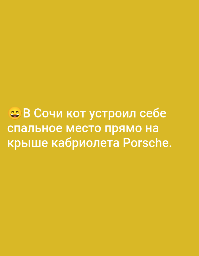 The image contains text overlayed on a yellow background. The text reads: "😀 В Сочи кот устроил себе спальное место прямо на крыше кабриолета Porsche." This translates to "😀 In Sochi, a cat made itself a sleeping place right on the roof of a Porsche convertible." There is no depiction of Pavlovsky Posad, Russia in this image.