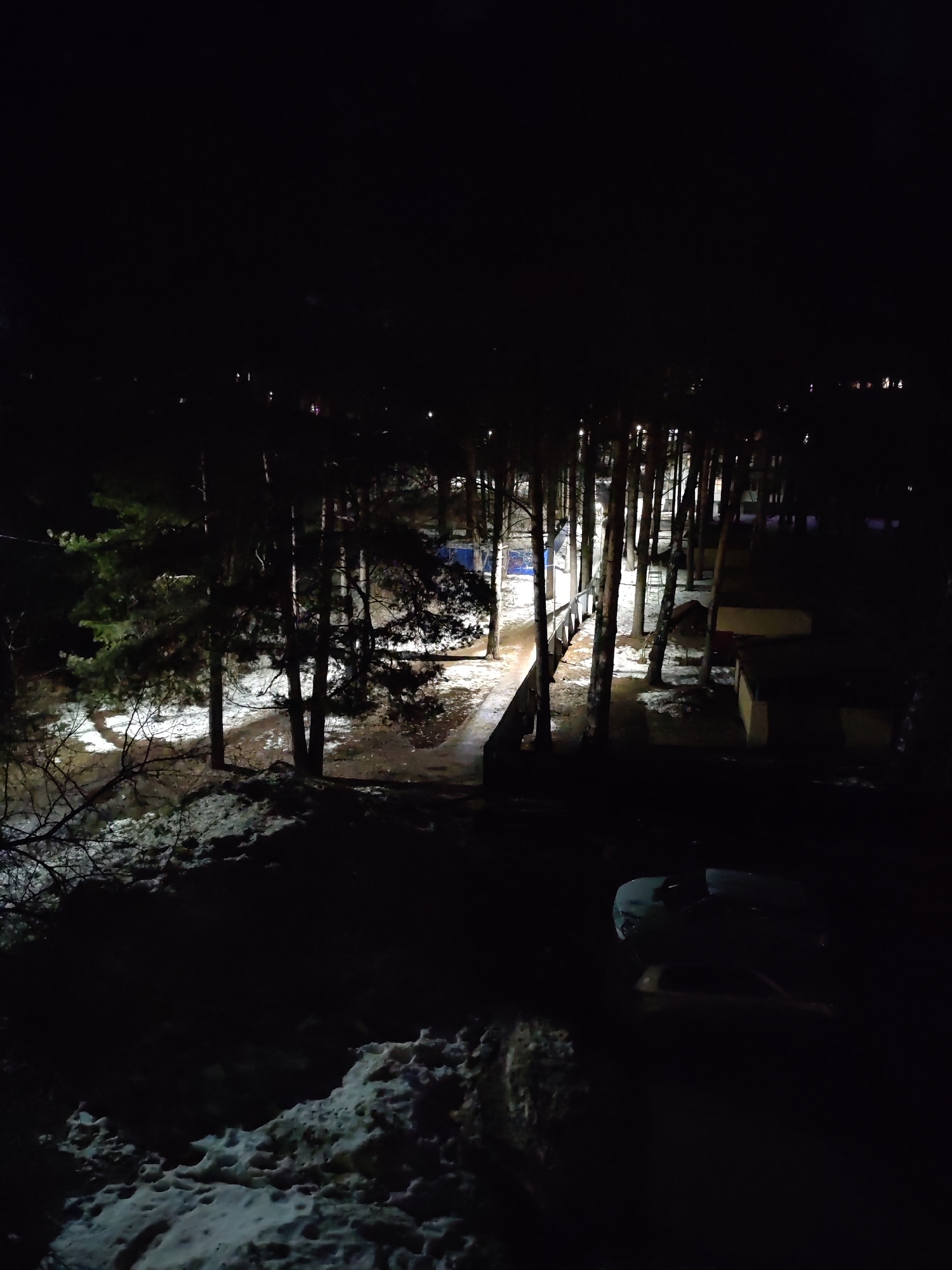 The image depicts a night scene in what appears to be a wooded area, possibly a park or residential area in Chaikovsky, Russia. The scene is illuminated by artificial lighting, suggesting streetlights or building lights. Tall pine trees are prominent, casting long shadows across the ground. Snow covers parts of the ground. A path is visible, potentially a walkway or road, appearing damp or icy. Some low-rise buildings or structures are present along the right side of the path. A parked car is located in the foreground. The overall impression is of a dark, quiet, and somewhat isolated location in winter. No individuals are visible in the image.