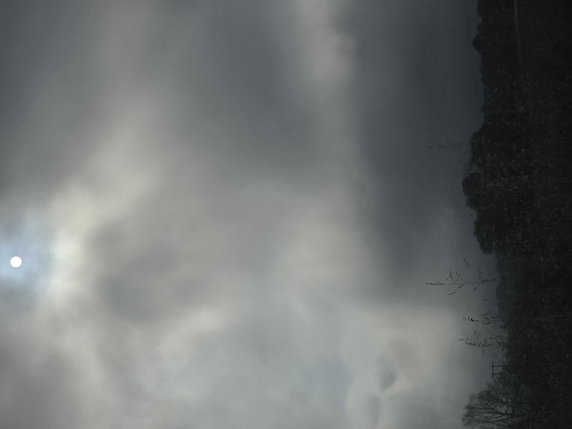The image presents a wide view of a heavily overcast sky, dominated by various shades of grey clouds. On the far left, a bright, circular sun is visible, partially obscured by the dense cloud cover, casting a diffused glow around its luminous core.
To the right of the frame, a dark, vertical mass indicates a distant treeline, forest, or perhaps hills, silhouetted against the lighter sky. Scattered within the mid-right and lower-right sections of the image are sparse, thin, and possibly bare tree branches or tall grasses, also appearing as dark outlines against the cloudy backdrop.
The scene captures a natural landscape under an overcast sky. No specific activity or event is depicted, focusing instead on the atmospheric conditions. The time of day appears to be daytime, with the sun's presence indicating light, albeit softened by the thick cloud cover. The weather is clearly cloudy and grey, suggesting a cool or muted day. There are no identifiable location cues beyond the natural elements, and no visible text is present. The overall impression is one of quiet contemplation or a typical cloudy day in a natural setting like Dolna Mahala, Bulgaria.