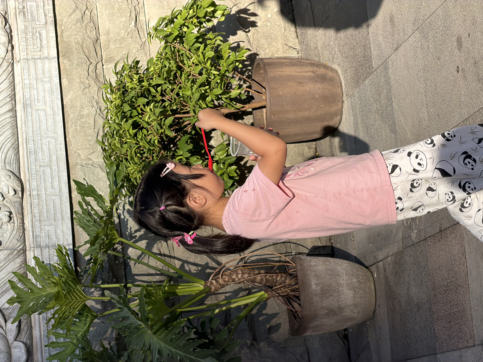 In Nan'an District, China, a young East Asian girl with dark hair styled in two pigtails with pink clips is standing in what appears to be an outdoor courtyard or patio. She is wearing a pink t-shirt and white pants adorned with a panda print. The girl is holding a clear plastic cup in her left hand and a red straw in her right hand, which she is using to stir the contents of the cup. She is positioned between two large potted plants. To her left is a large plant with broad, dark green, deeply lobed leaves, planted in a grey, square-shaped pot. To her right is a smaller, bushier plant with numerous small, bright green leaves, planted in a round, brown pot. Behind the plants is a stone wall, and above it, a decorative stone ledge. The ground is paved with large, grey flagstones. Sunlight casts shadows on the ground and the wall, suggesting it is daytime.