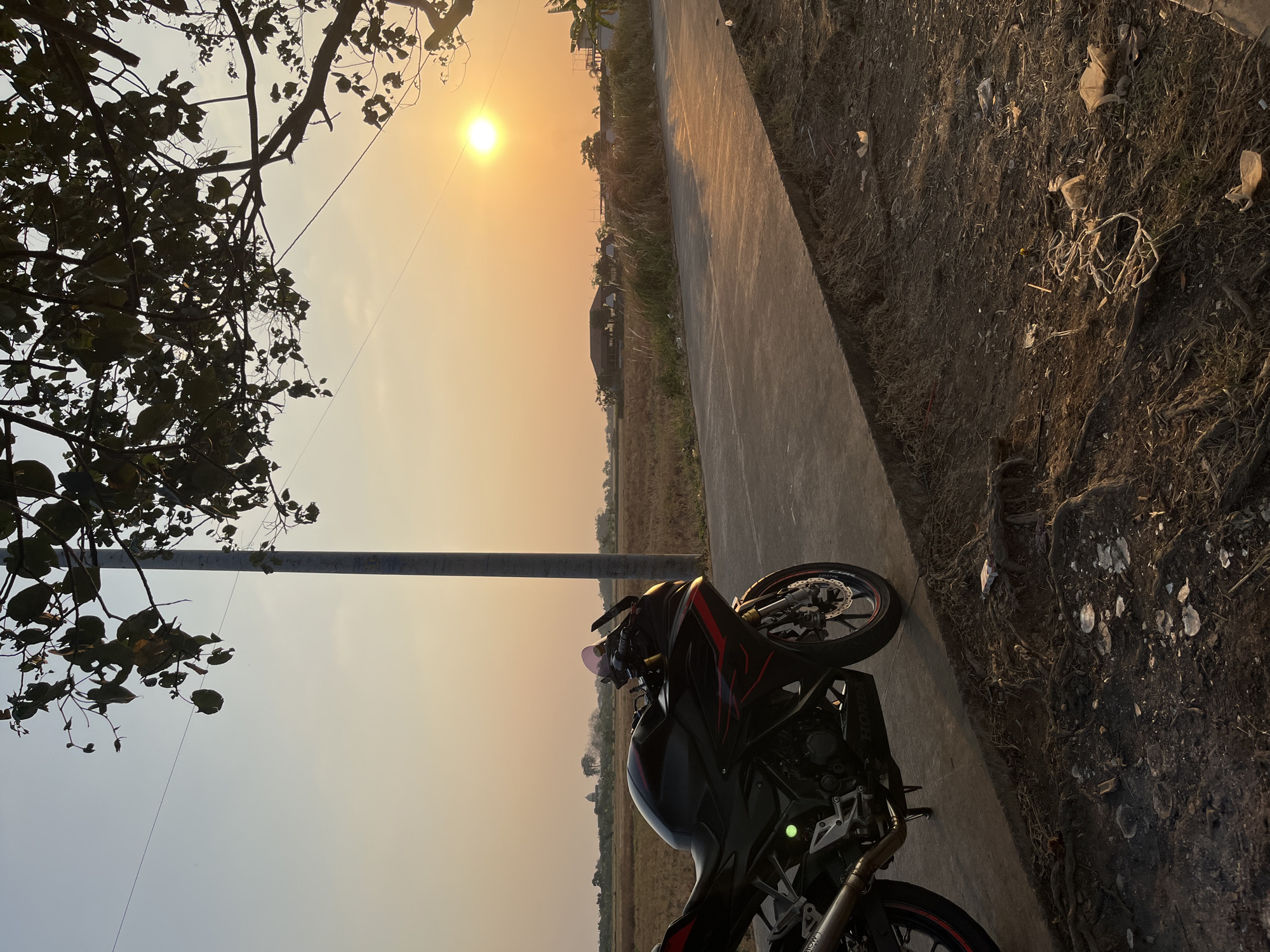 A black and red sport motorcycle is parked on the side of a concrete road during sunset in Pecangaan, Indonesia. The motorcycle is angled towards the viewer, with its front wheel turned slightly to the left. The sun is low in the sky, casting a warm golden light across the scene and creating long shadows. In the background, a field of dry grass stretches to the horizon, dotted with a few scattered trees and buildings. A power pole stands on the left side of the road, and the branches of a tree with dark leaves hang over the scene from the top right. The ground beside the road is covered in dry grass, dirt, and some scattered debris.