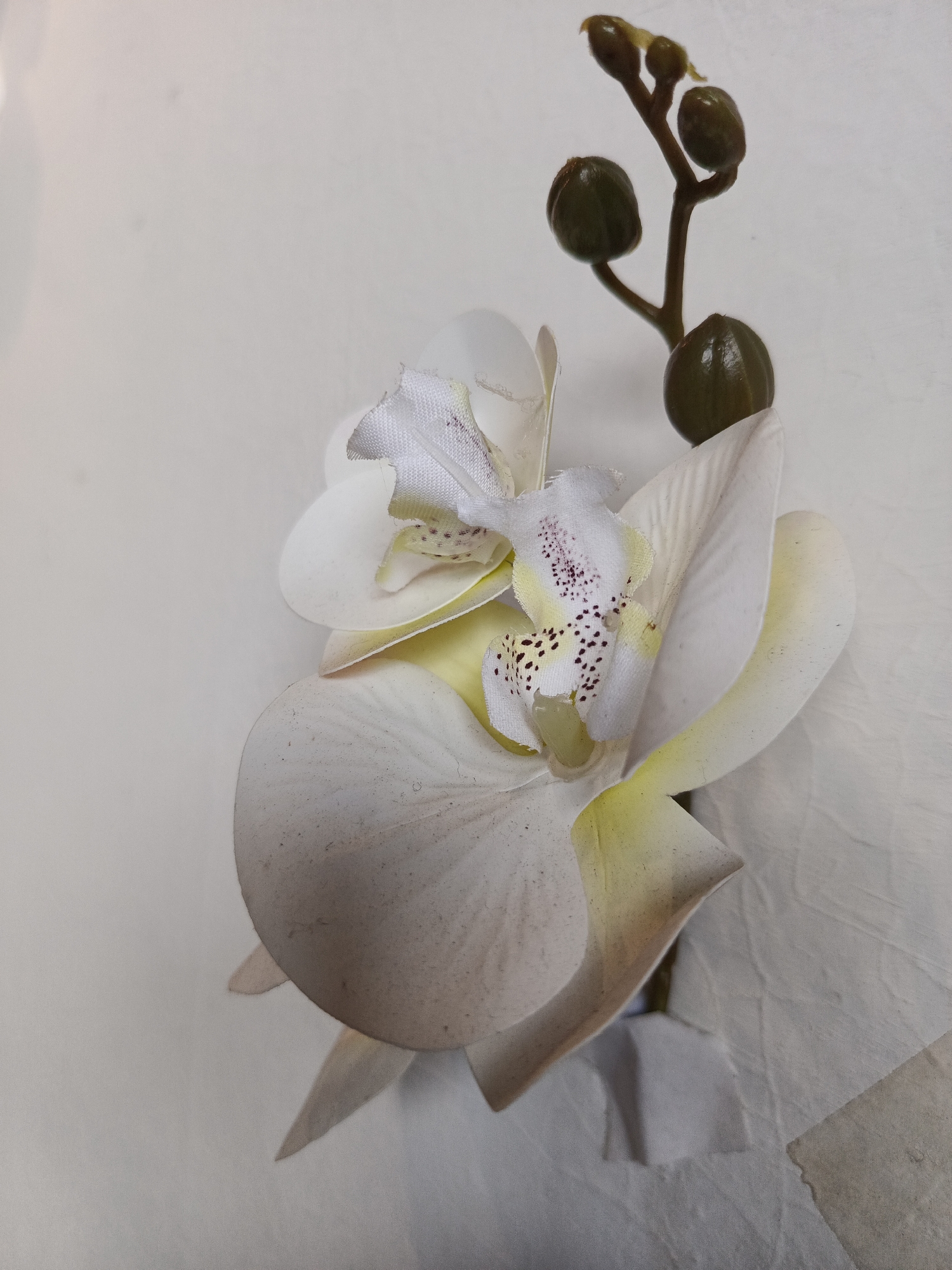 A close-up, overhead shot captures a white artificial orchid with a budding stem against a plain, textured off-white background. The orchid's petals are layered, with some showing hints of yellowing at the edges and delicate purple speckles on the inner structures. A stem with several dark green buds extends upwards from the orchid. The background appears to be a surface with subtle wrinkles and possibly some discoloration in the lower right corner, suggesting it could be a piece of fabric or textured paper. The image does not contain any people or specific identifiable locations within Bireuenmeunasahdayah, Indonesia.