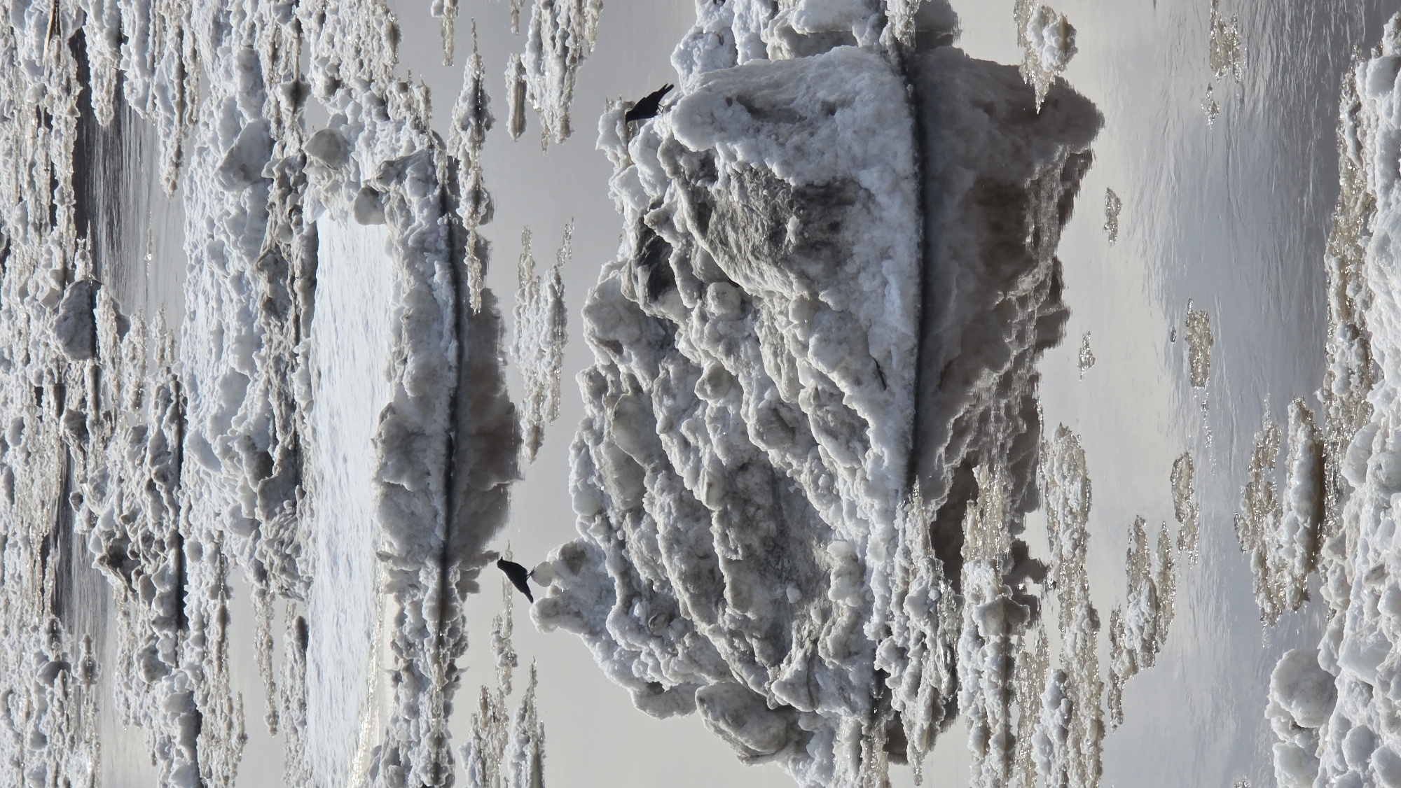 The image shows ice formations along the Lena River near the city of Lensk, Russia. The river is visible, with ice forming distinctive shapes. Two birds are perched on the formations. The scene is daytime and appears to be a mix of ice and water, characteristic of early spring thaw.