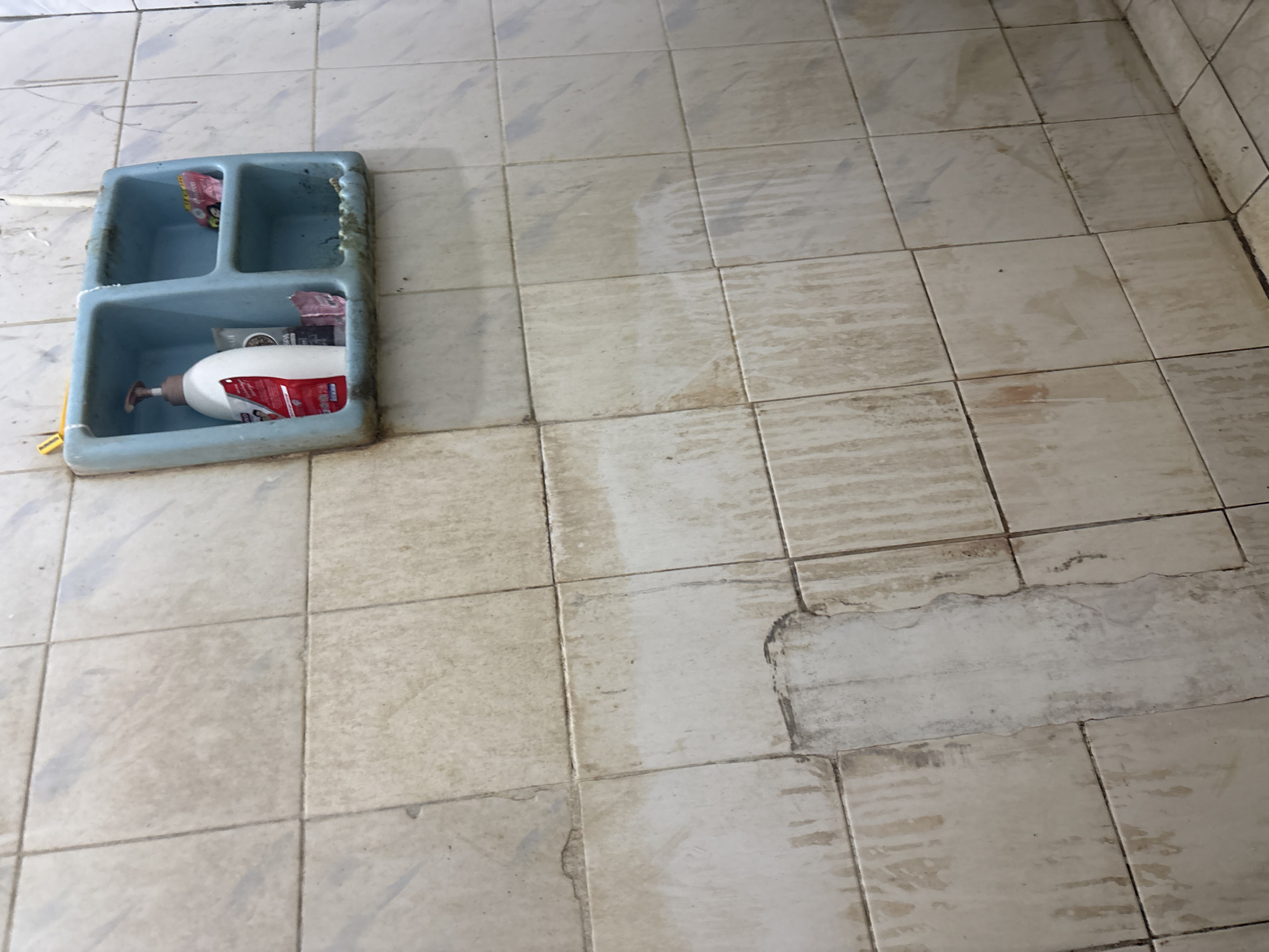 The image depicts a weathered, pale blue plastic shower caddy mounted on a tiled wall. The caddy is divided into three compartments. The leftmost and largest compartment contains a white pump bottle with a red label, likely a liquid soap or lotion dispenser. To the right of this, in a smaller compartment, are several small packets of what appear to be toiletries or sample sachets, some with colorful packaging. A toothbrush with a yellow handle is visible resting on the top edge of the caddy. The tiled wall itself is a pale, off-white color with visible grout lines and appears to be stained and aged, with streaks of discoloration running down from the caddy and other areas. There is a patch of damaged or missing tile in the lower left portion of the image. The overall impression is one of a somewhat neglected or older bathroom setting. The image does not provide any specific visual cues to determine its location within Palimanan, Indonesia.