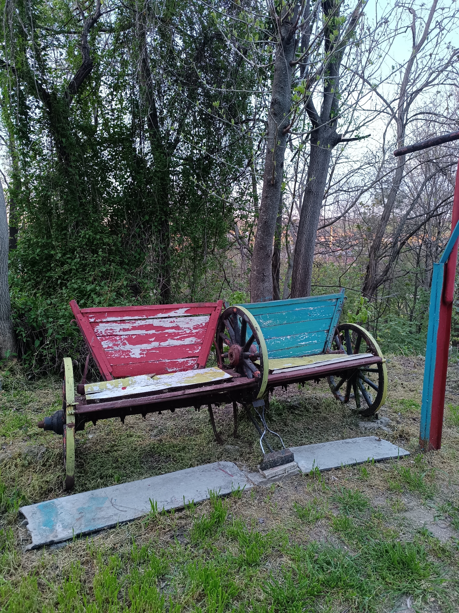 An outdoor scene in Pleven, Bulgaria, features a distinctive, rustic bench as its central subject. The bench is creatively constructed from two weathered wagon-like structures, joined in the middle. The left section is painted a distressed red, with much of the paint peeled away to reveal the bare wood beneath. The right section is a faded teal or greenish-blue, also showing significant signs of wear and peeling paint. Each section has a large, spoked wooden wheel attached, with the rims painted a light yellow-green and the spokes a darker color, reinforcing the wagon aesthetic. The bench itself has wooden plank seats, which also appear worn.
The ground around the bench is covered in a mix of green grass and drier, brownish patches. Two rectangular concrete slabs are laid on the ground directly in front of the bench. On the far right, a vertical post, painted with alternating red and blue sections, stands partially visible.
The background is dominated by trees and dense foliage. On the left, a wall of lush green leaves suggests thick bushes or fully leafed trees. Towards the right, the trees are sparser, with many bare branches and some showing new, light green buds, indicating spring or early summer. The sky above is bright but soft, suggesting either an overcast day or the diffused light of late afternoon or early evening. The overall atmosphere is calm and still. There is no visible text in the image.