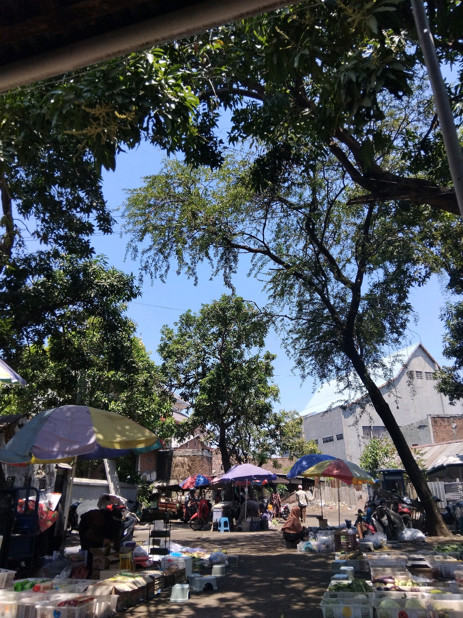The image depicts an outdoor market scene in Kepuh Kiriman, Indonesia. The market appears to be set up along a street under the shade of large trees. Various stalls are visible, with colorful umbrellas providing cover. Goods, likely produce and other market items, are displayed in baskets and on surfaces in the foreground and throughout the market. Several people are present, engaged in activities typical of a marketplace, such as shopping or managing stalls. Motorcycles are parked in the area, indicating common modes of transportation. Buildings, including houses and what appears to be a larger structure with an angled roof, are visible in the background, interspersed with more trees and foliage. The overall atmosphere suggests a lively and active community market on a sunny day.