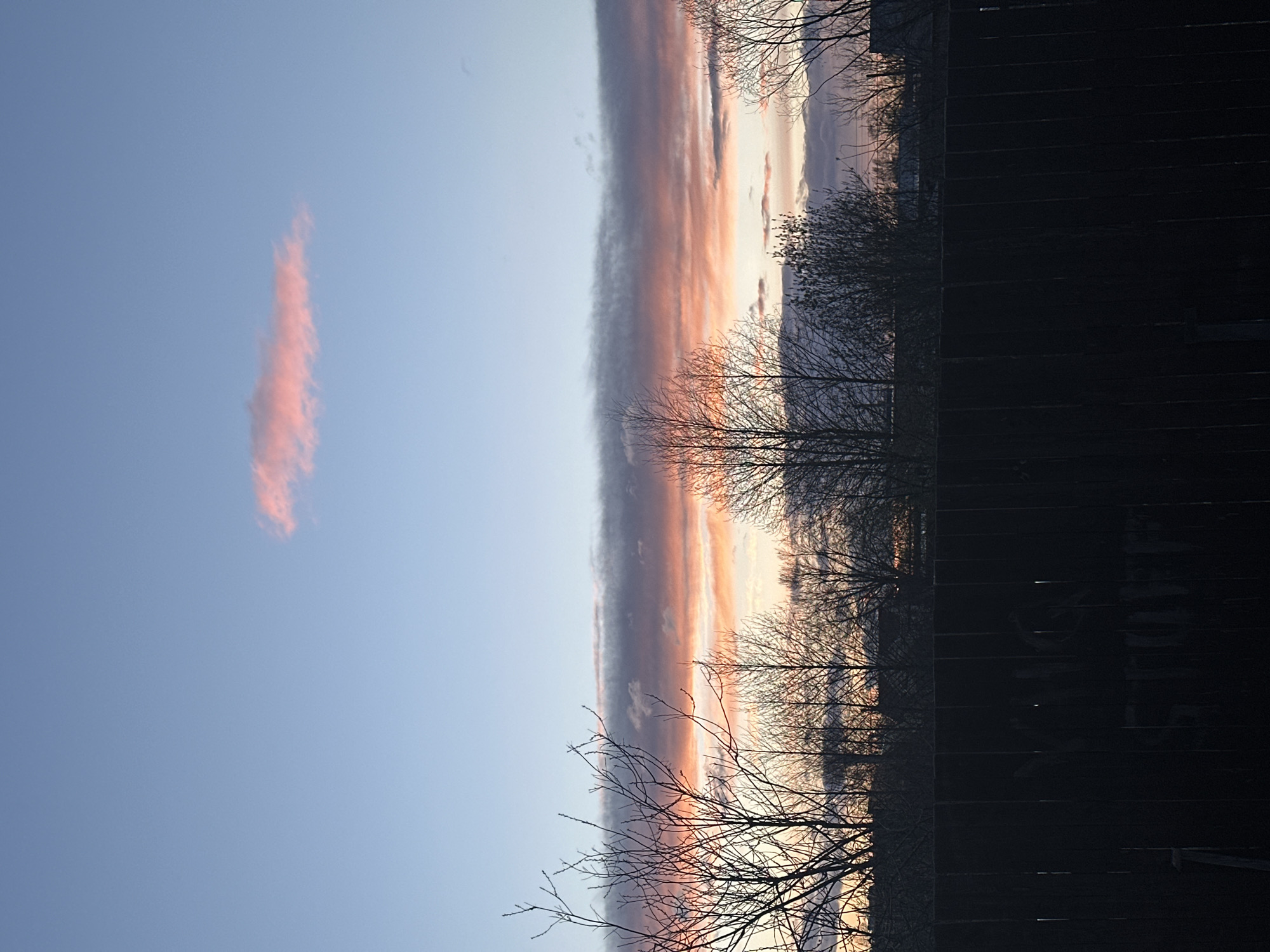 The image depicts an outdoor scene at either sunrise or sunset, characterized by a striking sky and silhouetted trees against a dark foreground. The sky occupies the upper portion of the frame, transitioning from a clear, pale blue on the left to a dramatic horizontal band of clouds across the middle. These clouds are illuminated by warm, golden, and reddish-orange light, indicative of low-angle sunlight. To the far left, a distinct, elongated, reddish-pink cloud floats in the otherwise clear blue sky.
Along the horizon line, a row of bare, deciduous trees, devoid of leaves, are silhouetted against the vibrant clouds, their intricate branches creating a delicate pattern. The foreground and the right side of the image (when correctly oriented) are plunged into deep shadow, appearing almost black. This dark area seems to be a solid structure or building, possibly a fence or wall, further emphasizing the contrast with the illuminated sky. No people or specific activities are visible, presenting a serene yet dramatic natural landscape, likely in autumn or winter due to the bare trees. There is no visible text in the image. The location context for this scene is Chaikovsky, Russia.