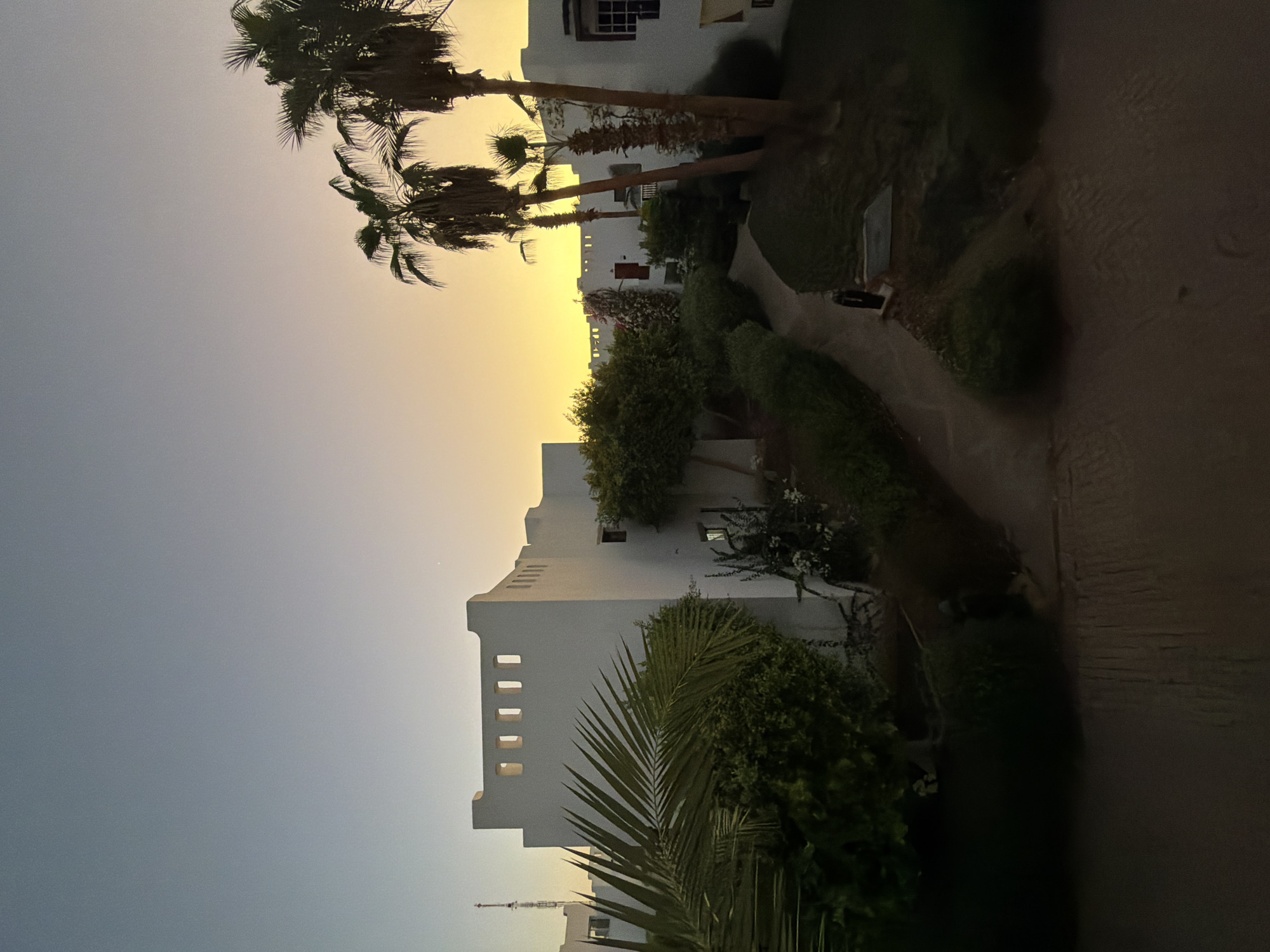The image depicts a view of a resort courtyard in Sharm El Sheikh, Egypt, at dusk. White, cubist-style buildings with flat roofs and small, rectangular windows are visible on the left and right sides of the frame. The building on the left features a row of square openings near the top of its facade. Palm trees with sparse fronds tower over the structures. Lush green bushes and some flowering plants line a winding pathway that leads through the courtyard. The sky is a gradient of soft blues and yellows, indicating the setting sun. The ground is covered in sand and possibly a paved pathway. A telecommunication tower is faintly visible in the far distance on the left. The scene is peaceful and evokes a tropical evening ambiance.