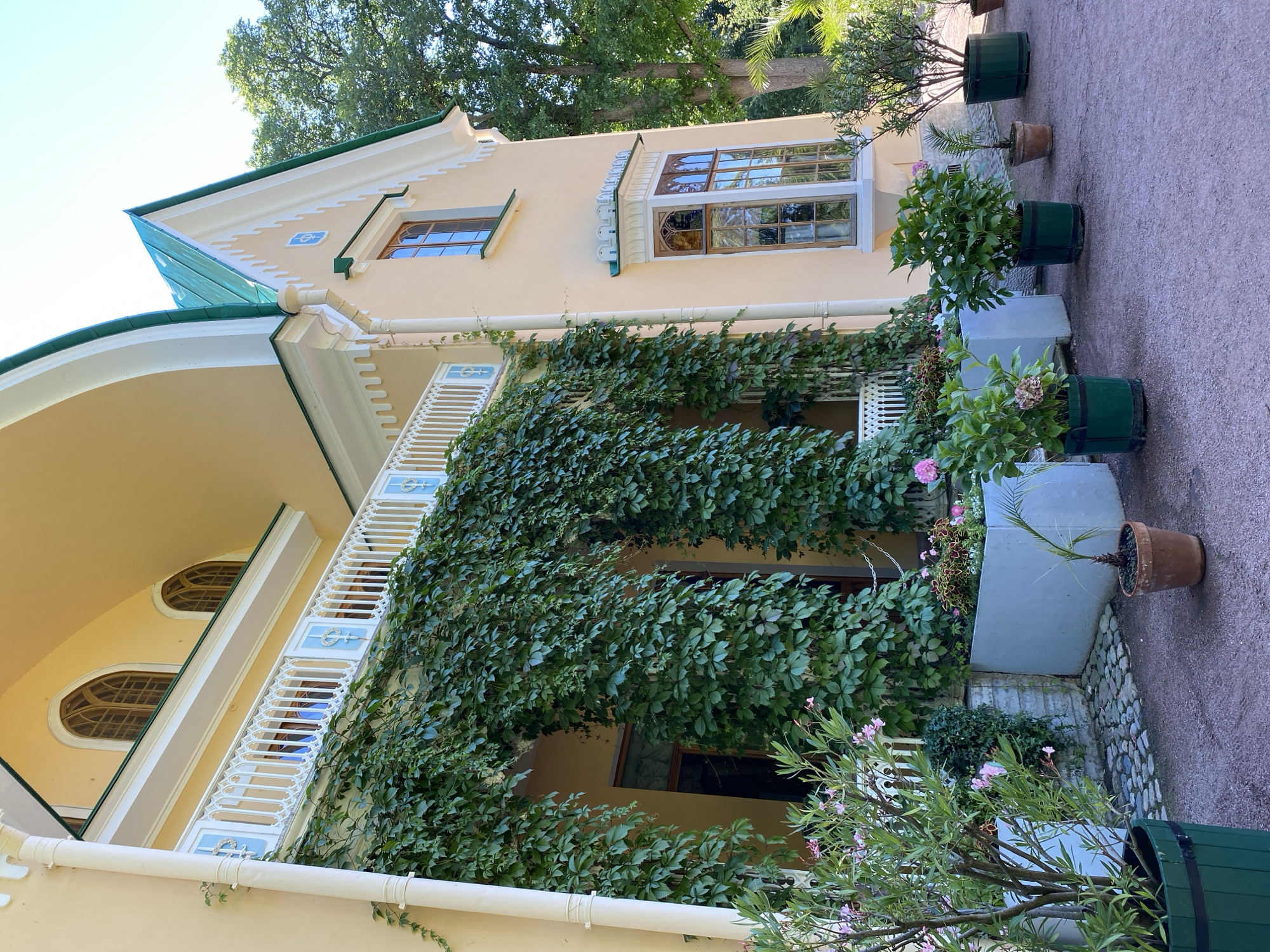 A light yellow building with a green roof and ornate white trim is covered in ivy. A balcony with white railings wraps around the second story. In front of the building, several potted plants and flowers are arranged on a gravel path. The sun is shining, casting shadows on the ground, and a large tree is visible in the background. The image appears to be taken from the grounds of the Alexander Palace in Peterhof, Russia, due to the architectural style and presence of mature trees common in the palace's park. There are no people visible in the image.
