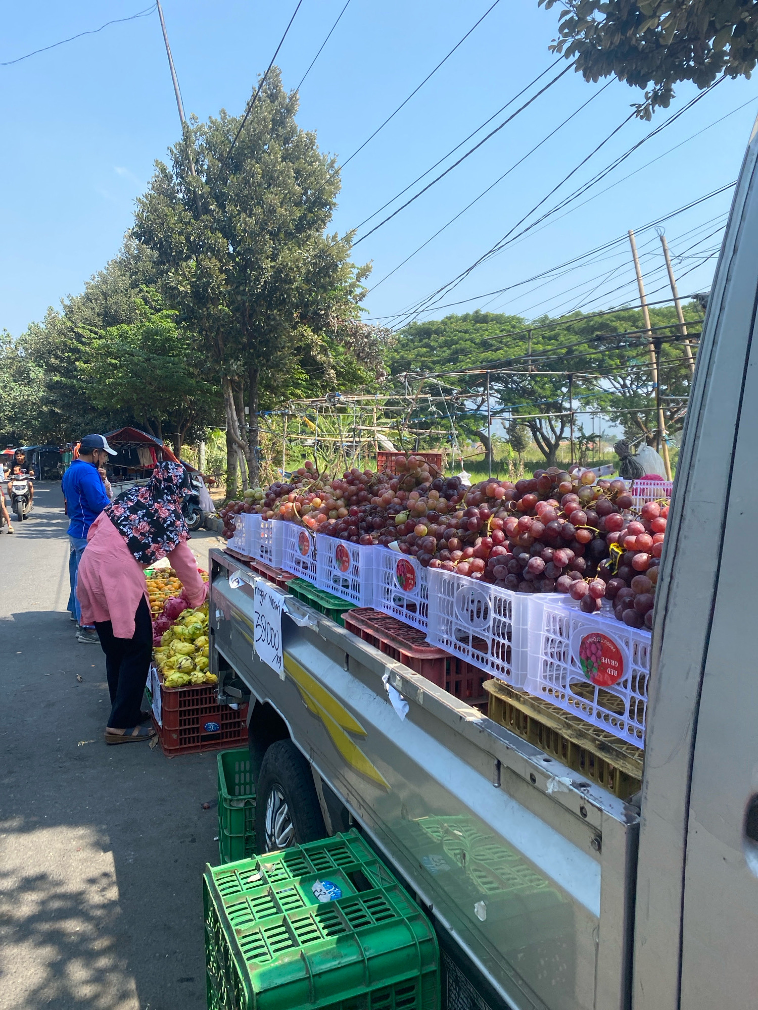 A side view of a pickup truck filled with red grapes and other fruits is parked on a street in Kediri City, Indonesia. The truck bed is packed with white plastic crates overflowing with grapes. Beneath the crates of grapes, red and yellow crates are visible. A woman wearing a pink jacket and a headscarf is seen browsing the fruit. A man in a blue shirt and a blue cap stands nearby. In the background, trees and a clear blue sky are visible. The scene appears to be a roadside fruit stand.