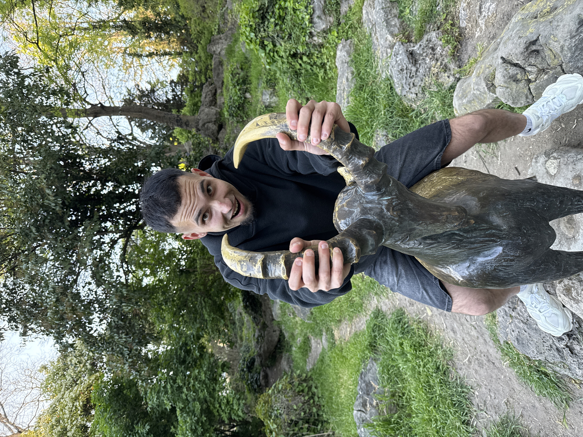 A man in a black hoodie and gray shorts is crouched and holding the horns of a bronze sculpture of a bull. The sculpture is positioned on a rocky surface covered in grass. The man has short dark hair, a light complexion, and is looking at the camera with a wide-eyed expression. He is wearing white sneakers. The background consists of trees and foliage, suggesting a park setting. The image was taken in Varna, Bulgaria.
