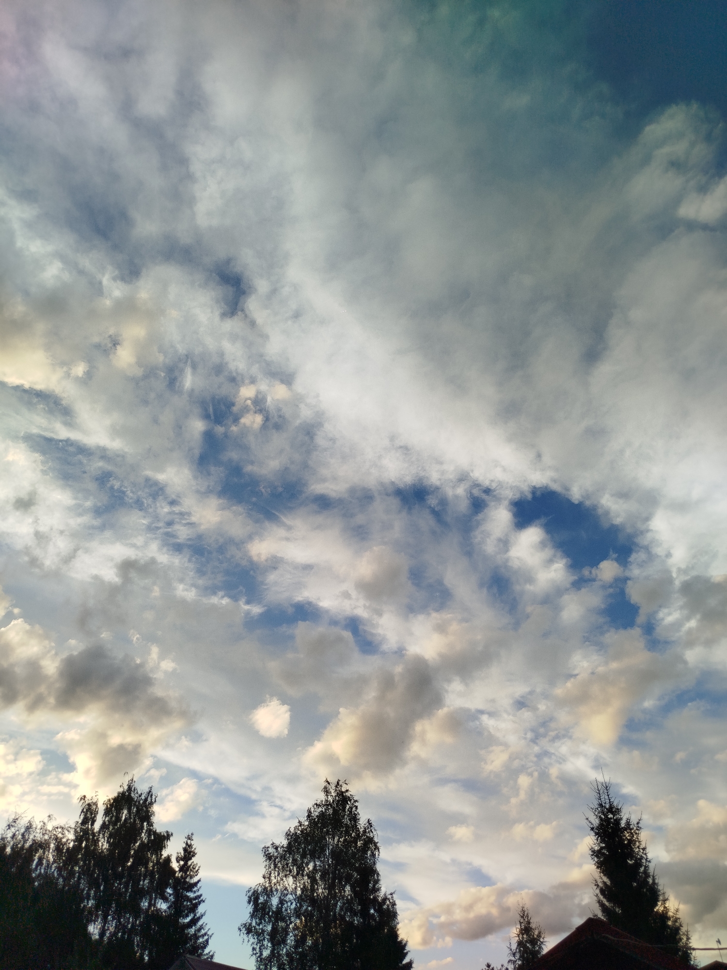 The image captures a sky filled with a mix of white, gray, and light blue clouds, with patches of clear blue sky visible. The lighting suggests it is either dawn or dusk, casting a soft, diffused light on the scene. The tops of several trees, silhouetted against the sky, are visible at the bottom of the frame, along with a portion of a dark red roof on the right. The environment appears to be a residential area, possibly a dacha or a suburban neighborhood, given the presence of trees and rooftops. The specific location of Чкаловское Снт, Russia, places this scene in a rural or semi-rural setting within Russia, characterized by summer cottages and natural vegetation. There are no people or specific actions depicted in the image, focusing solely on the atmospheric conditions and the landscape's upper portion.