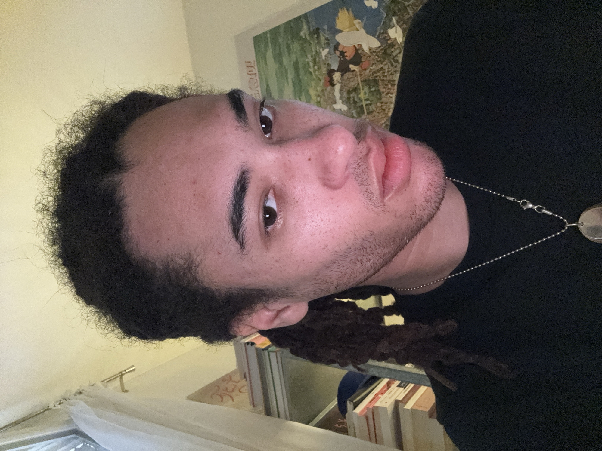 The image displays a close-up portrait of a male individual, appearing in his late teens or early twenties, looking directly towards the viewer with a slight head tilt. He has dark, tightly curled hair styled into dreadlocks visible on the left side of his head, short facial hair (stubble), and a fair complexion with freckles. He is wearing a plain black long-sleeved garment and a silver-colored ball chain necklace with a circular or oval pendant. His mouth is slightly open, with lips subtly pursed.
The background suggests an indoor setting within a private residence in Paris, France. To the left, a window is partially covered by a sheer white curtain suspended from a metallic rod. Below the window, stacks of books with light-colored spines are visible on a surface, backed by a wall featuring a faint reddish, repetitive pattern. To the right, a poster or artwork is displayed on a cream-colored wall, depicting a green landscape with an animated character riding a broomstick, accompanied by white bird-like figures and Japanese text at the top. The scene is illuminated by ambient light, with some direct light on the subject's face.