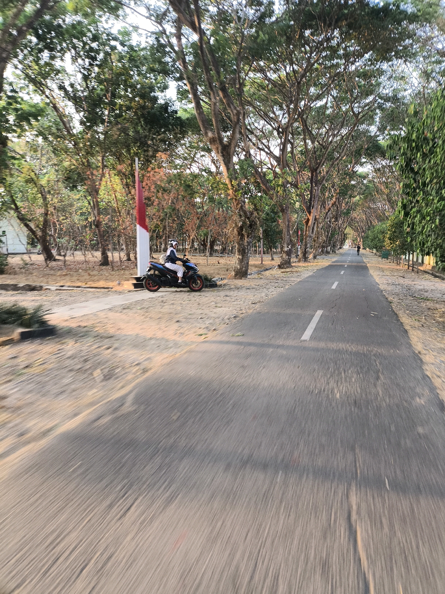 The image depicts a scenic road bordered by lush trees in an outdoor setting. A person is riding a motorcycle on the left side of the road. The person is wearing a white helmet and white attire. The motorcycle is black with red accents on the wheels. A flag pole with red and white flags is visible behind the motorcycle. The road is paved with white dashed lines indicating lanes. The surrounding environment consists of sandy ground and mature trees with dense foliage, suggesting a location in a tropical or sub-tropical region. The lighting indicates it is likely late afternoon or early morning, with long shadows cast on the road. A single pedestrian is visible in the distance walking on the road. The overall impression is a peaceful and idyllic rural or park-like setting.