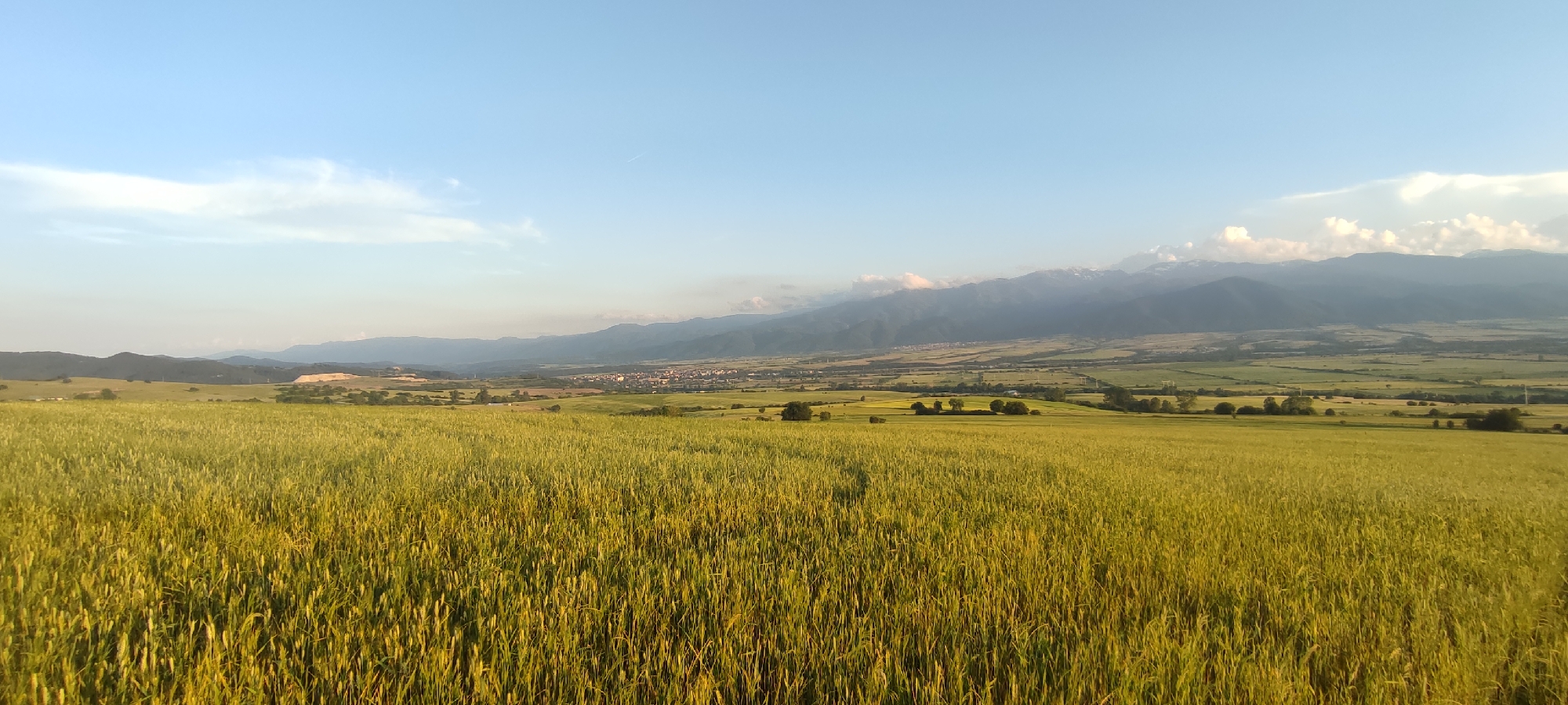 A panoramic view captures a vast, golden field of grain in the foreground, stretching towards a distant, hazy mountain range under a clear blue sky with scattered white clouds. In the mid-ground, a valley unfolds with a cluster of buildings, indicative of a settlement, nestled amidst patchwork fields of various greens and yellows. The landscape suggests a rural setting, possibly on the outskirts of the city of Momin Prohod, Bulgaria, given the presence of mountains and agricultural land. The lighting suggests it is late afternoon or early evening, with the sun casting a warm glow across the scene. There are no people or animals visible in the image.