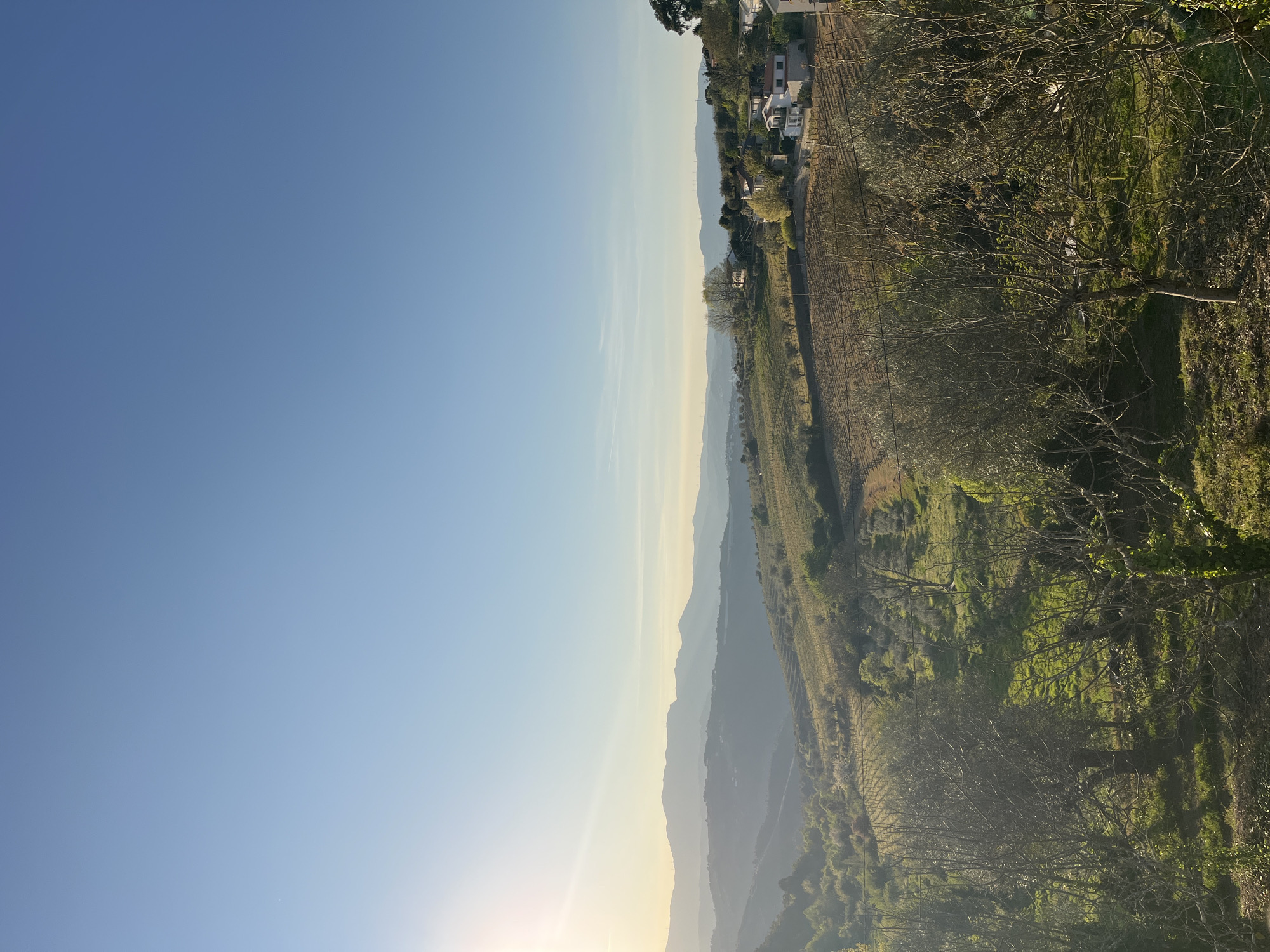 The image shows a landscape in Vila Real, Portugal. The sky is clear and blue. A range of mountains is in the distance. The foreground contains terraced vineyards and trees. There are a few houses visible on the hillside. The sun is low in the sky, casting a warm glow on the landscape.