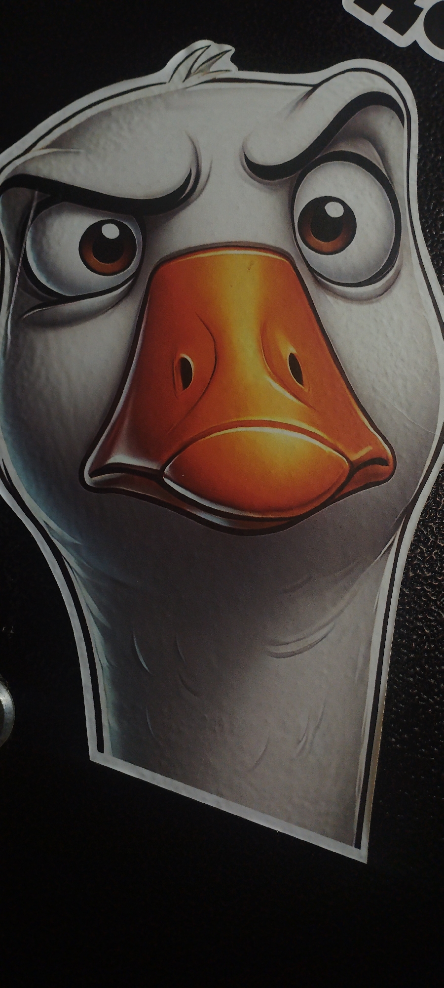 The image shows a close-up of a sticker of a cartoon goose's face, with a grumpy or surprised expression. The goose has large, wide eyes with brown irises and a prominent orange beak with two nostrils. The sticker is on a dark, textured surface, possibly a wall or a piece of furniture. There are no people or other significant objects visible in the immediate vicinity. The image does not contain any information about the city of Покосное, Russia, or any specific location within it.