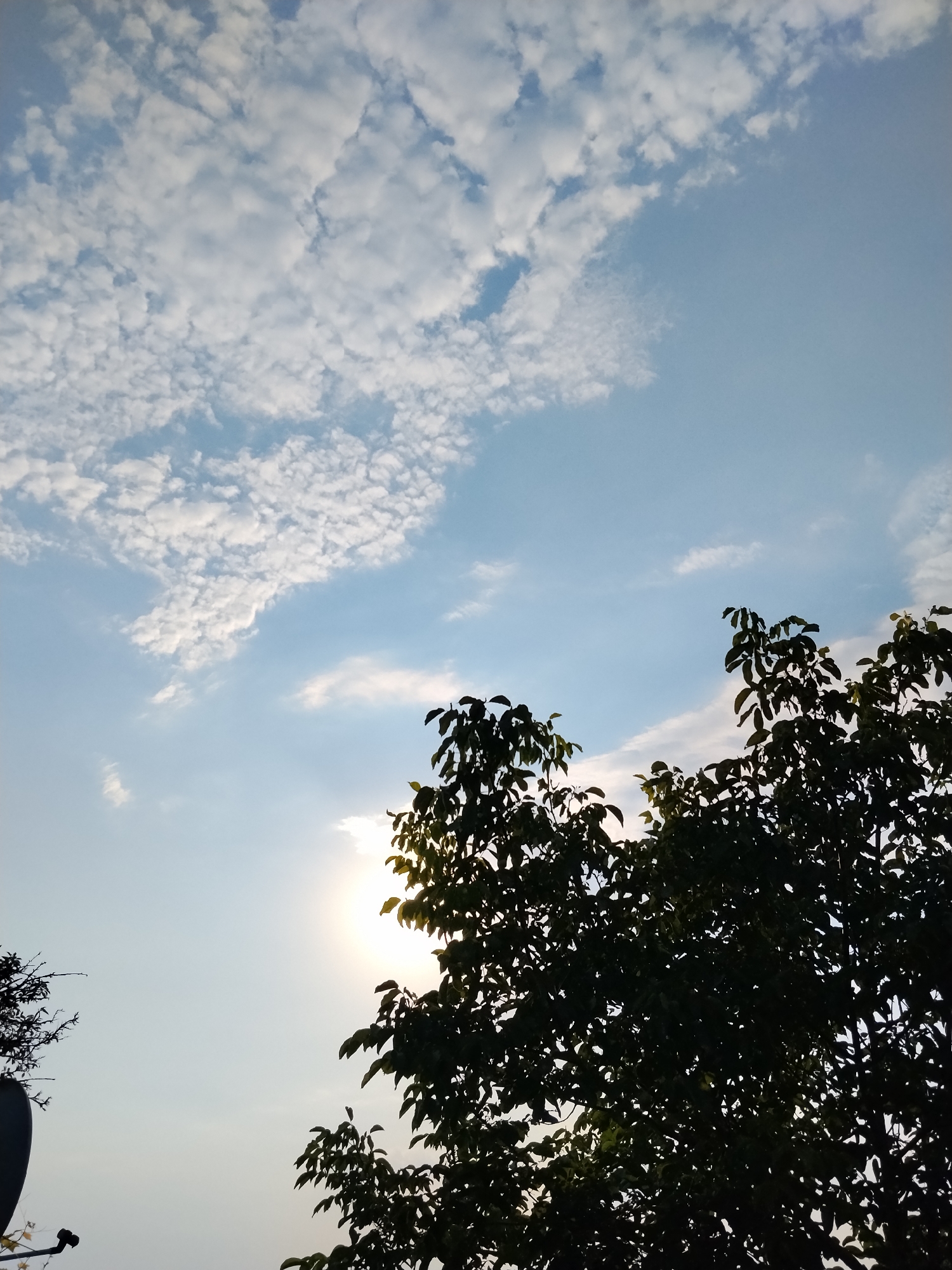 The image shows a daytime sky with scattered white clouds against a blue background. In the foreground, silhouetted against the sky, are the dark green leaves of trees. The sun is visible through the leaves, creating a bright, hazy glow. On the far left, a dark satellite dish is partially visible. The scene is outdoors, likely in a natural or semi-urban environment, given the presence of trees and a satellite dish. The overall impression is of a clear, somewhat overcast day.