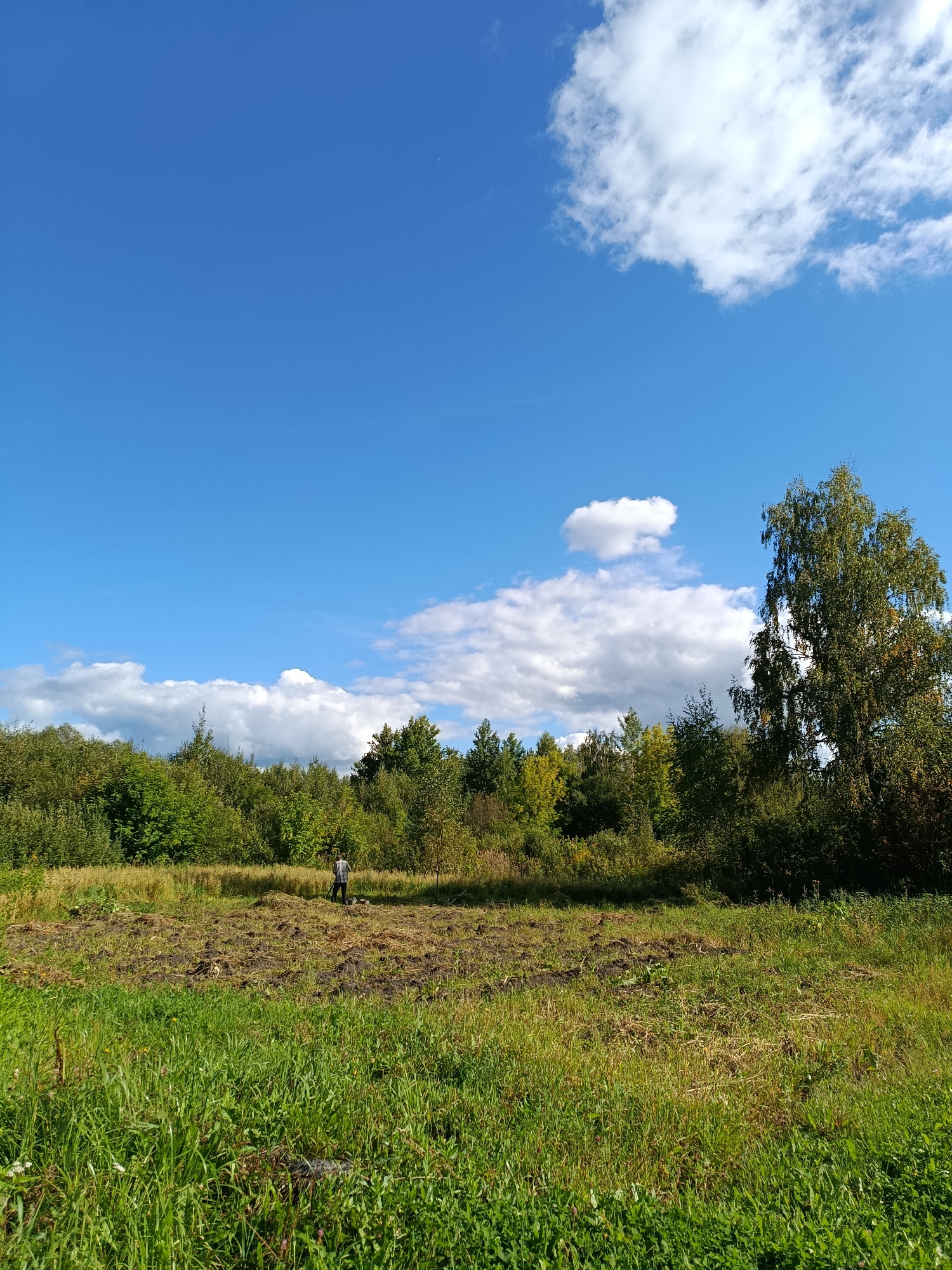 A low-angle, eye-level, full shot captures a vast, clear blue sky with scattered white cumulus clouds. Below, a dense, green forest with trees of varying heights forms the horizon. In the foreground, a field of tall, lush green grass gives way to a patch of tilled, dark brown soil. A lone figure, dressed in a grey and white checkered shirt and dark pants, stands in the tilled area, facing away from the camera and appearing to work the soil with a tool. The scene suggests an outdoor agricultural or gardening activity on a bright, sunny day. The location is identified as Veriya, Russia.