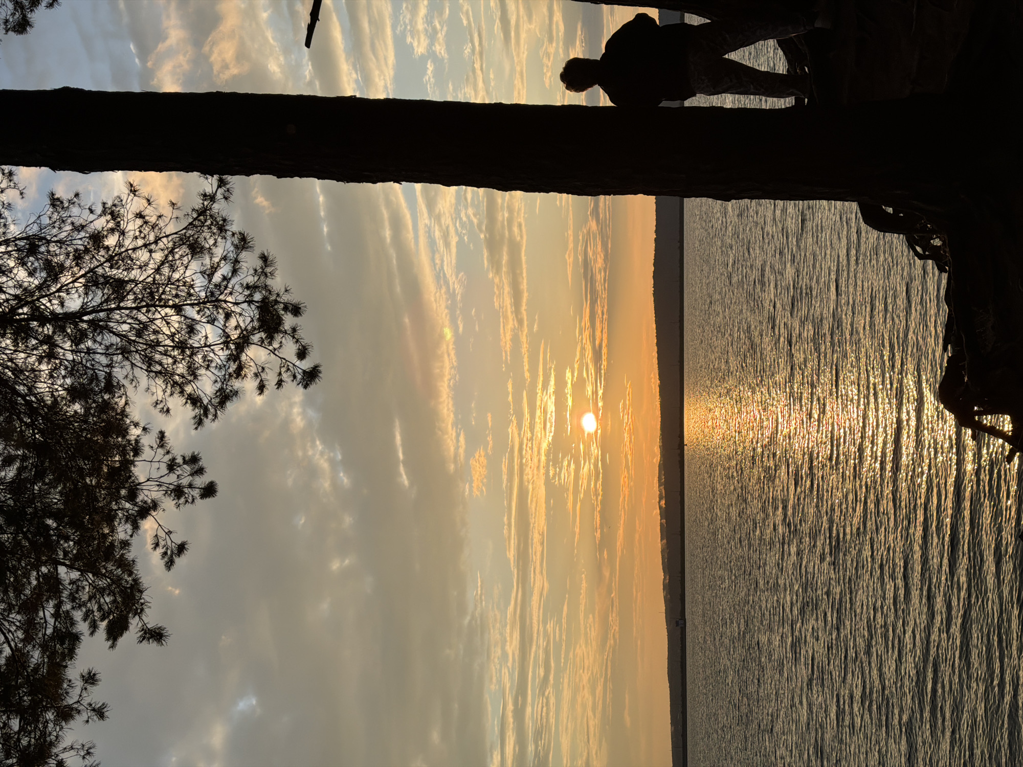 An outdoor, eye-level, vertical medium shot shows a sunset over the Kama River in Chaikovsky, Russia. The sun is low on the horizon, casting a golden glow across the water and through the clouds. The sky is filled with a mixture of orange, yellow, and muted blue hues. In the foreground, a tall, dark tree trunk is silhouetted against the sky, with its branches extending into the upper left corner of the frame. To the right of the tree, a person is standing, also silhouetted, looking out at the river. The person is wearing patterned pants and a dark top. The water is calm, with ripples reflecting the sunlight. The opposite bank of the river is visible in the distance as a dark, low silhouette against the horizon.