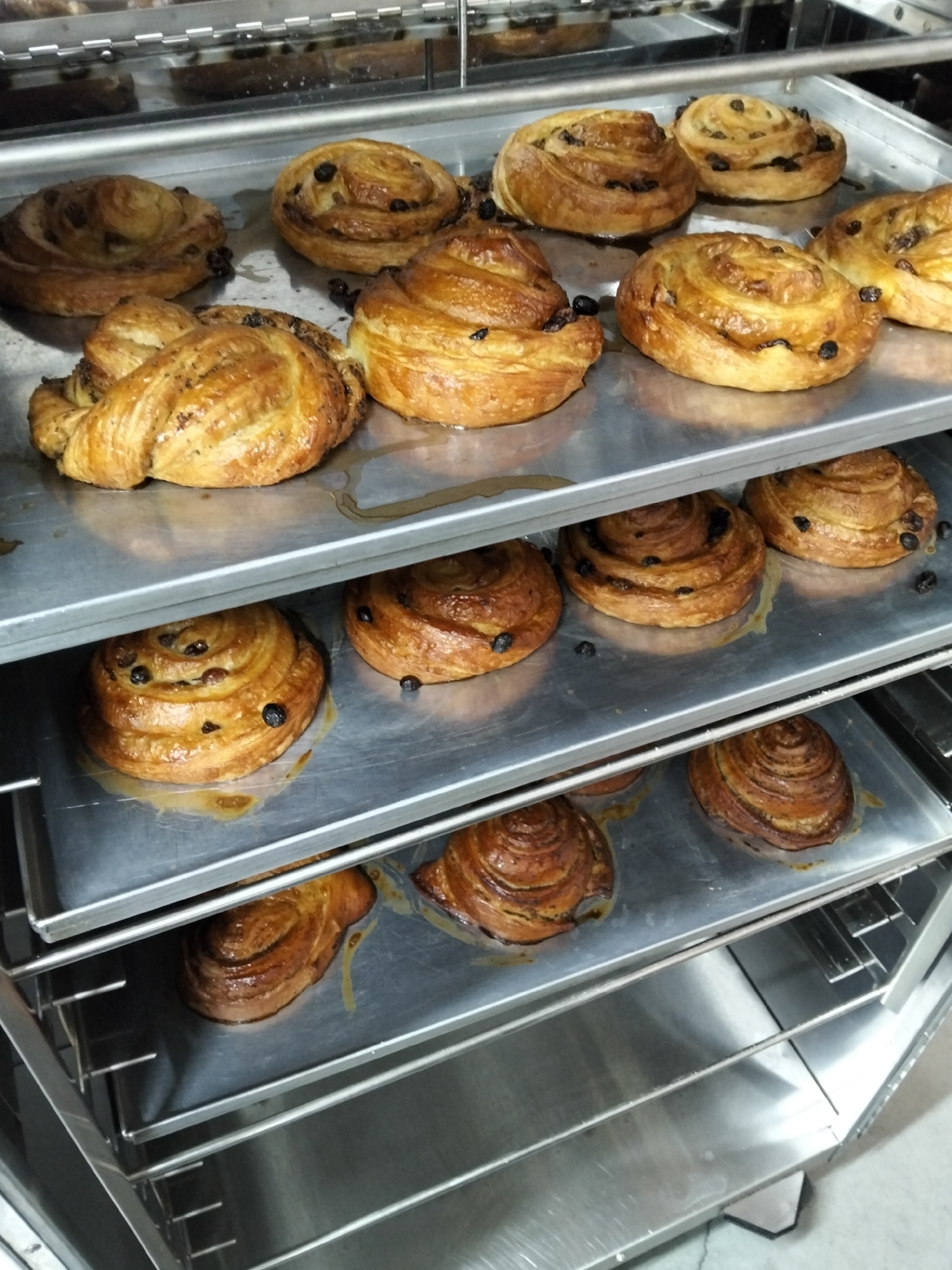 A close-up, eye-level shot shows several trays of freshly baked pastries, likely cinnamon rolls or pain aux raisins, stacked in a commercial oven or bakery display. The pastries are golden brown, glistening with syrup, and studded with dark raisins. They are arranged on metal baking sheets, which are themselves placed on horizontal metal racks. The environment appears to be a commercial kitchen or bakery. The image does not provide enough visual information to determine a specific location within Almaty, Kazakhstan, or any specific details about people, actions, or interactions.