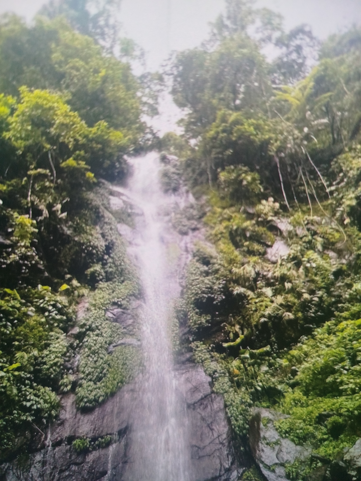 The image shows a waterfall cascading down a rocky, moss-covered cliff face. Dense green foliage, including trees and vines, surrounds the waterfall and clings to the rocks. The water appears misty as it falls, and the lighting suggests it is daytime, possibly overcast or the sun is high. The scene depicts a natural environment, likely in a lush, tropical or subtropical region. Without further context or visible landmarks, the specific location within Bandungrejo, Indonesia, cannot be determined from the image alone.