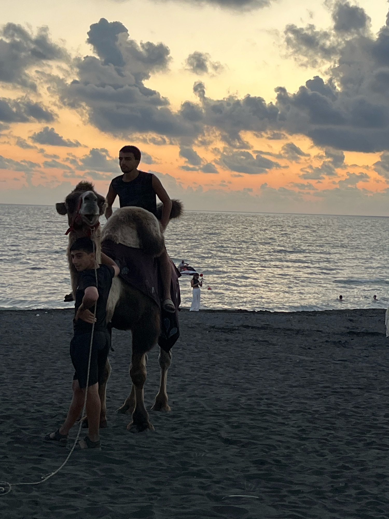 In Ureki, Georgia, at dusk on a beach, two young men are with a camel on the dark sand. The man in the front, wearing a black t-shirt and shorts, holds a rope attached to the camel's bridle. The man in the back, also in a black t-shirt, is seated on the camel's hump. The camel is wearing a decorated saddle pad. In the background, the calm sea is visible, with several people swimming in the water. The sky is filled with dramatic clouds, colored orange and yellow by the setting sun. The beach sand is dark and textured, with ripples suggesting it may be wet or recently disturbed. The overall scene captures a moment of leisure on the Black Sea coast.