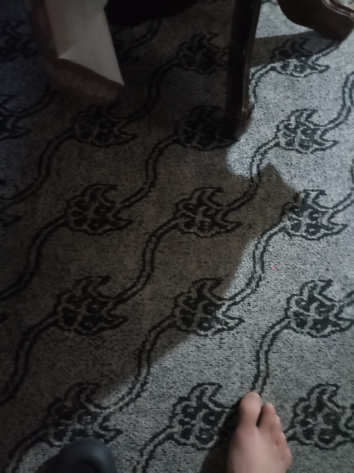 In Aygezard, Armenia, a close-up, overhead view of a patterned carpet reveals a foot and the leg of a dark, possibly black, piece of footwear. The carpet displays a repeating motif of stylized floral or cloud-like shapes in a dark color against a lighter, textured background. A dark shadow, cast by an unseen object, stretches across the carpet, partially obscuring the pattern. The lighting suggests an indoor environment, likely a home.