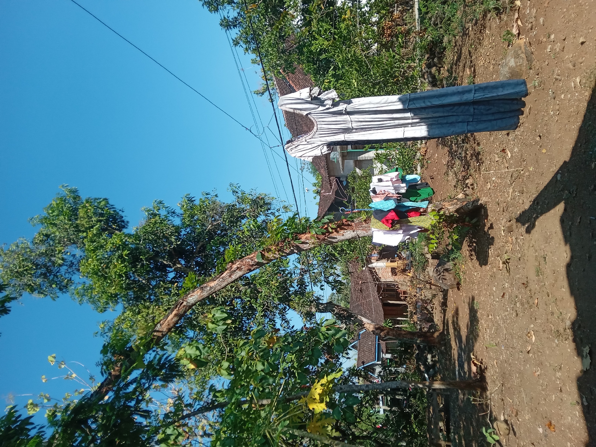 This image depicts a scene in the village of Kedunggudel, Indonesia, under a clear blue sky. The foreground is dominated by dry, reddish-brown earth, scattered with small stones and fallen leaves. To the left, a large tree with a broken, leaning trunk stands prominently, its branches covered in green leaves. Further to the right, another tree trunk is visible.
In the middle ground, laundry is hanging on a clothesline stretched between trees and poles. A long, light-colored dress with a darker hem hangs prominently on the right side, partially obscuring other items of clothing. To its left, a collection of brightly colored garments, including red, blue, green, and white, are also drying. Behind the laundry, traditional Indonesian houses with dark tiled roofs are visible, surrounded by lush green foliage. Some of these structures appear to be made of wood and brick.
The environment suggests a rural or semi-rural setting within the city of Kedunggudel, characterized by natural vegetation, residential buildings, and the everyday practice of drying clothes outdoors. The sunlight indicates it is daytime, casting shadows across the ground. There are no people visible in the frame.