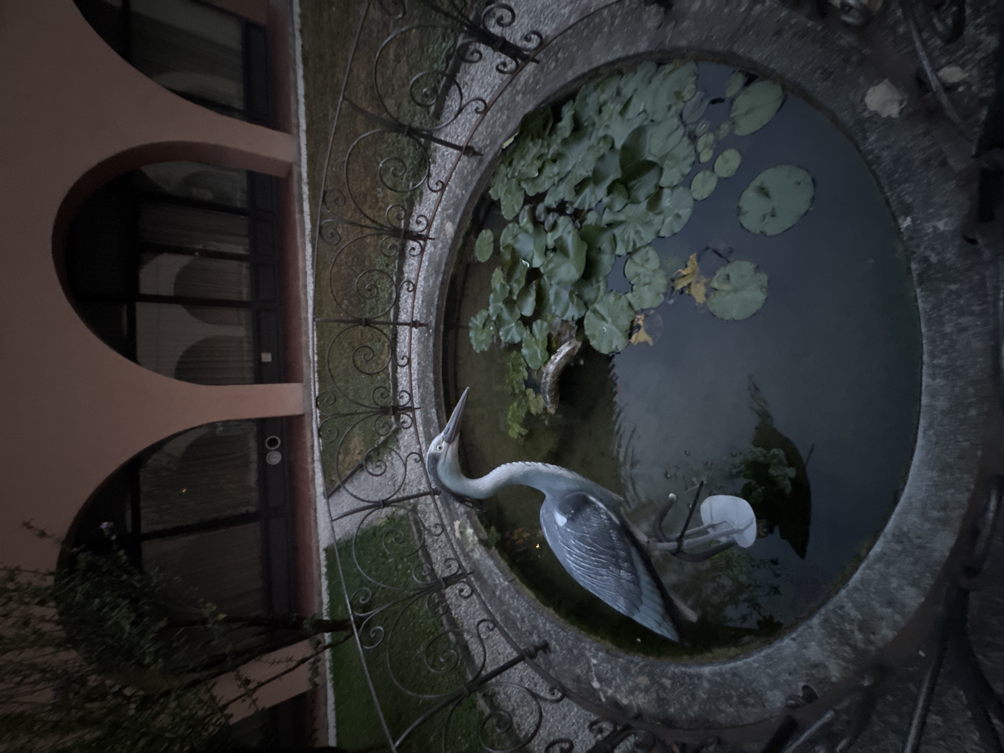 This image depicts an outdoor scene in Balerna, Switzerland, featuring a decorative pond in the foreground. The pond contains lily pads and a statue of a grey heron. The heron statue is positioned centrally, facing to the right, with its beak slightly open. The pond is surrounded by a decorative metal fence. In the background, there is a building with arched windows and a light-colored facade. The lighting suggests it is dusk or evening. The ground around the pond is covered with gravel and grass.