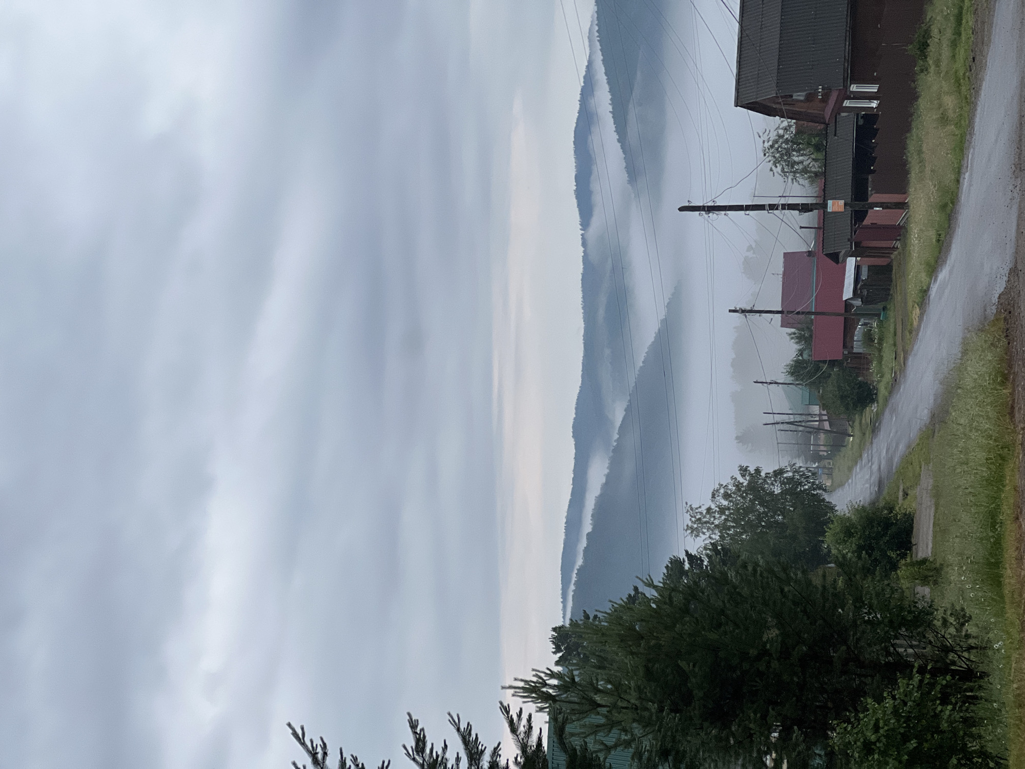 The image depicts a rural village scene in Bolshaya Rechka, Russia. A wet asphalt road stretches into the distance, lined by scattered houses with dark-colored roofs and wooden fences. The houses appear to be simple, rural dwellings with some displaying a reddish hue on their roofs or fences. Tall wooden utility poles with visible electrical wires are interspersed along the road. Lush green trees, including a prominent pine tree on the left side, flank the road and the houses. In the background, a series of rolling hills are shrouded in a thick layer of fog, creating a serene and somewhat mysterious atmosphere. The sky is overcast with gray clouds. The overall impression is one of a quiet, damp morning in a remote village, with the natural landscape dominating the scene. There are no people visible in the image.