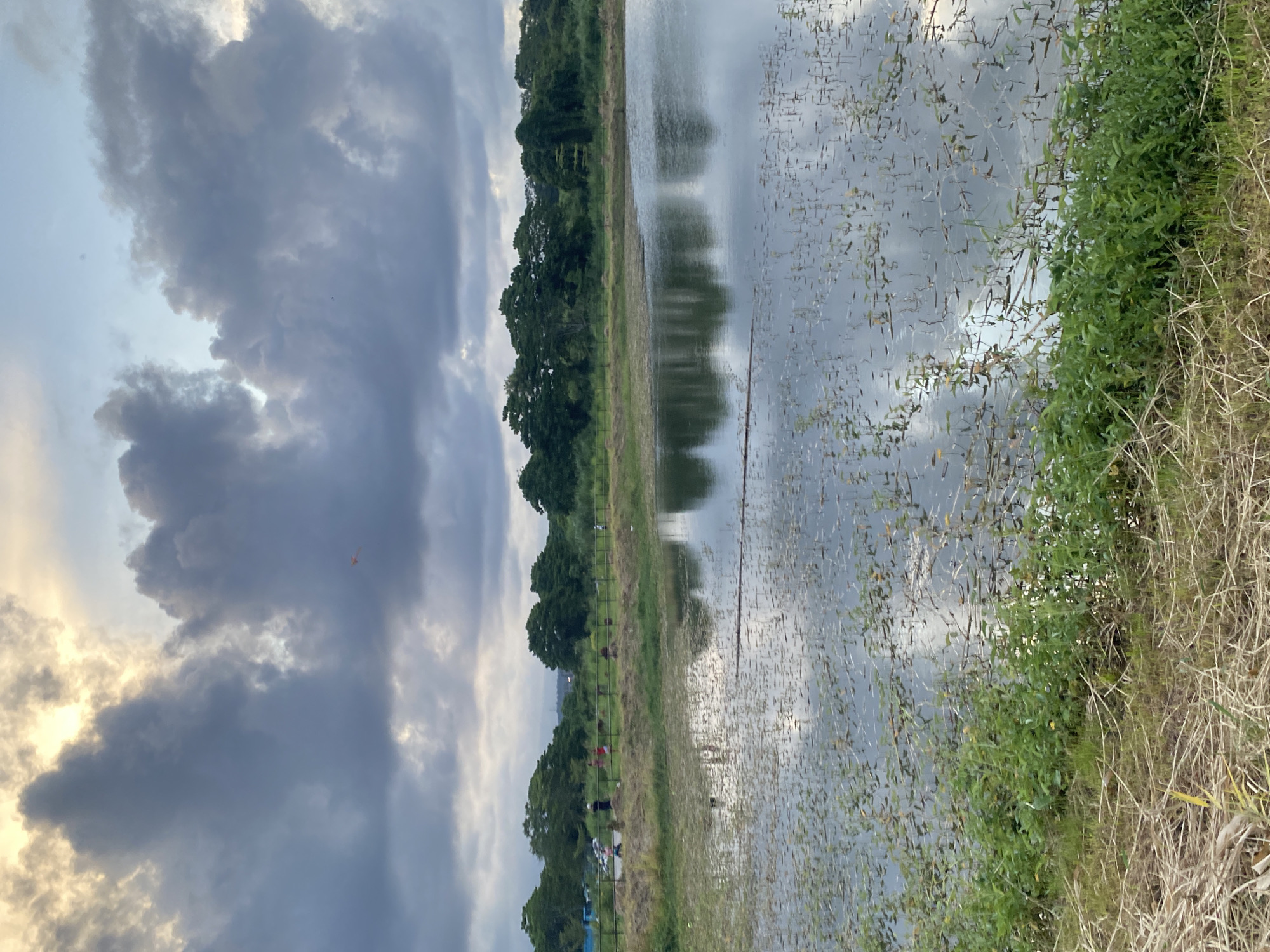 A body of water, possibly a pond or lake, reflects a cloudy sky and a line of trees in the background. The water's surface is partially covered with aquatic plants and debris. In the foreground, dry grass and green vegetation grow along the bank. In the middle ground, several people are visible near a fence line, some appearing to be walking or standing. The overall scene suggests an outdoor recreational area, possibly a park or nature reserve. The specific location within Davao City, Philippines, cannot be determined from the image alone.