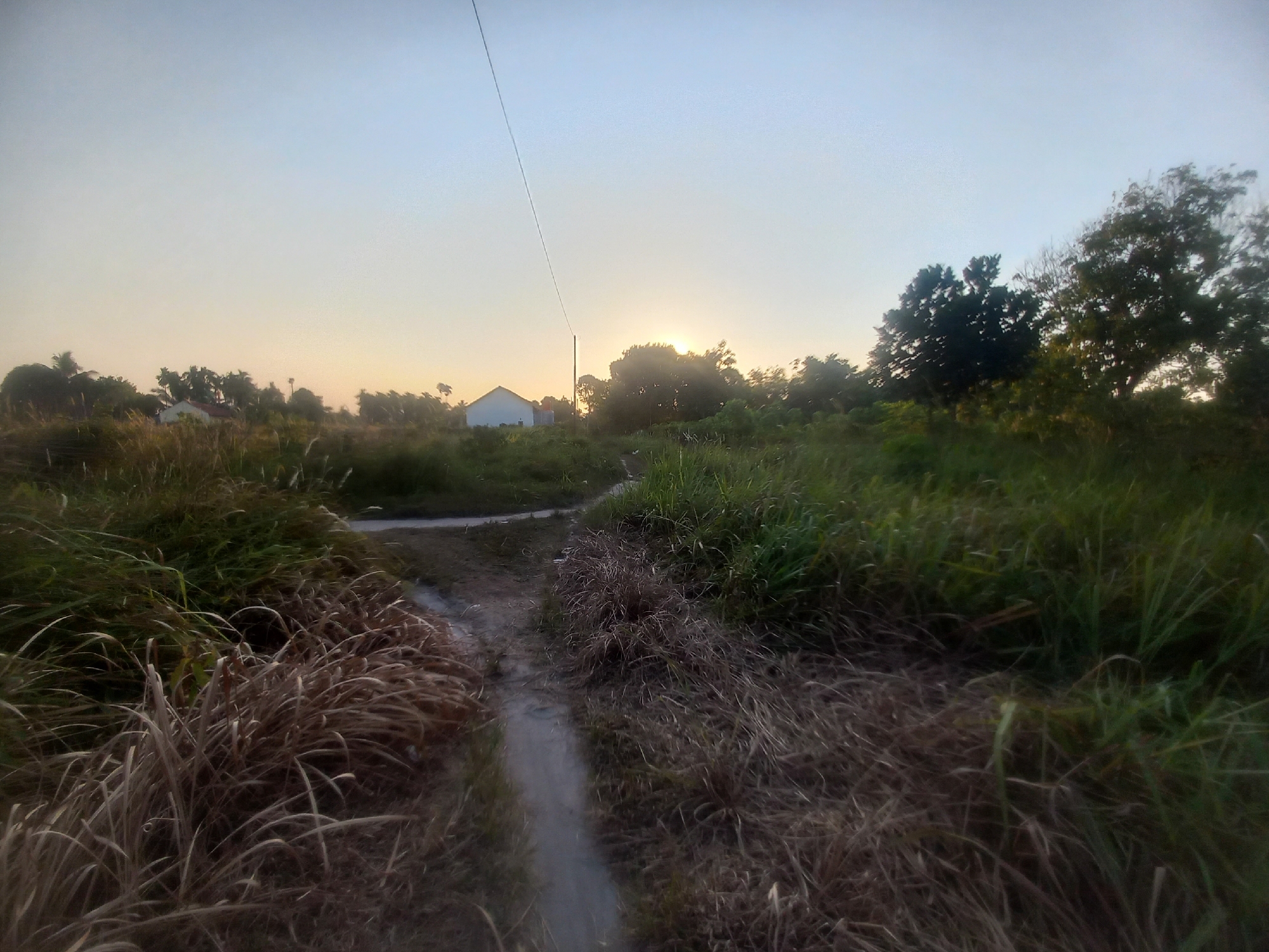 A dirt path winds through overgrown dry grass and green vegetation in a rural landscape. In the distance, a white building with a red roof is visible, partially obscured by trees. The sun is setting, casting a warm glow across the sky and silhouetting trees. A power line stretches across the upper portion of the image. The scene depicts a tranquil, undeveloped area, likely in the outskirts of Kasang Pudak, Indonesia, at dusk.