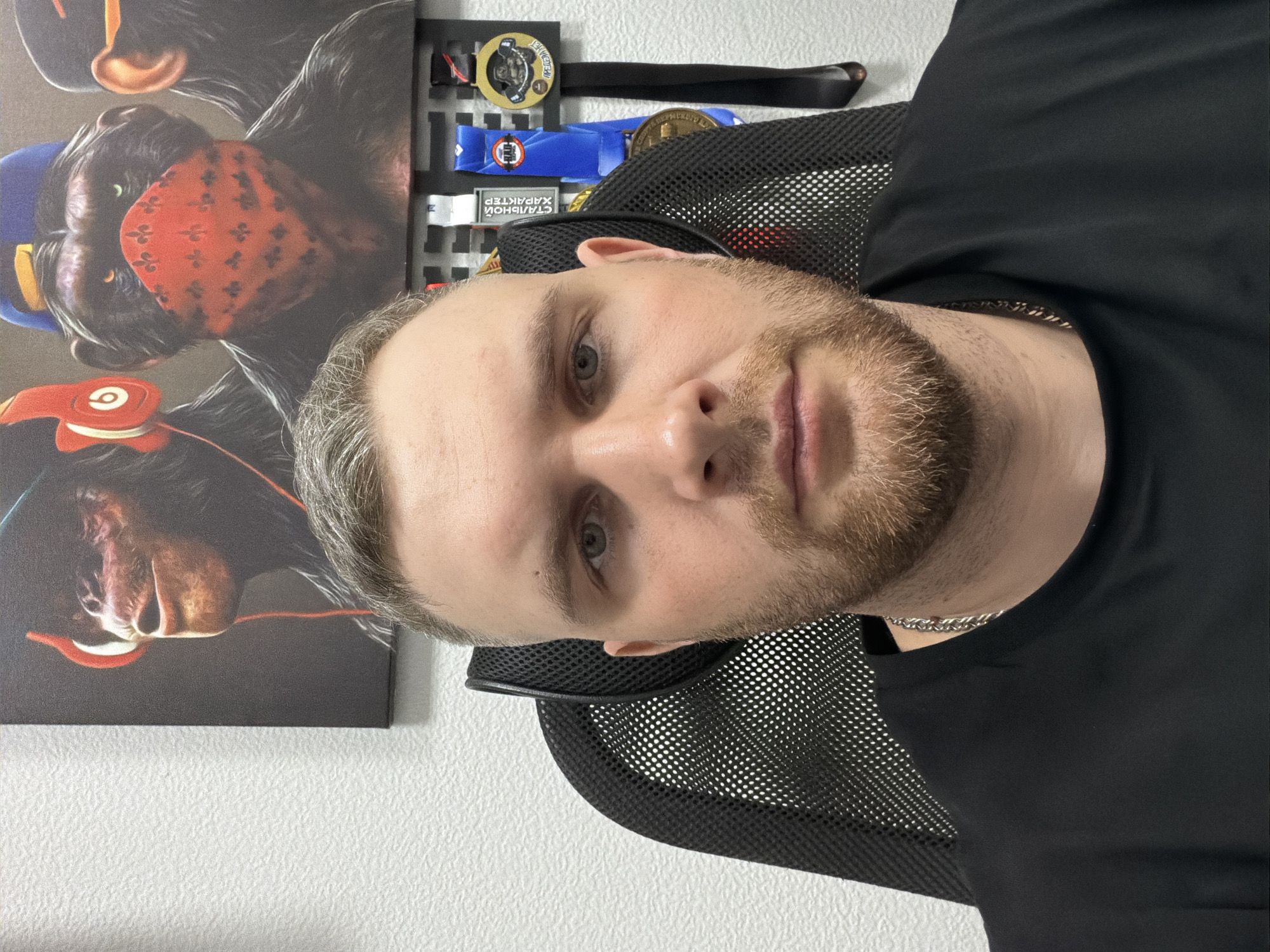 The original image, rotated 90 degrees counter-clockwise, captures a man indoors, likely in Chaikovsky, Russia. The man, appearing to be in his late 20s or 30s, has short light hair with some gray and a light brown, neatly trimmed beard. He looks directly at the camera with a neutral to slightly serious expression and possesses light-colored eyes. He is wearing a plain black t-shirt and a silver chain necklace, seated in a black mesh office chair.
Behind him, a light-colored, possibly textured wall serves as a backdrop. A large piece of artwork on the wall features three stylized monkeys: the top one wears a blue cap, the middle one a red bandana with a repeating pattern resembling fleur-de-lis, and the bottom one red over-ear headphones.
To the right of the man's head, on the wall, a rack or shelf displays several items, including at least three medals. A gold-colored medal on a black ribbon is visible, featuring Cyrillic text "ЧЕМПИОНАТ" (CHAMPIONSHIP). Below it, another medal with a blue ribbon clearly displays the Cyrillic words "СТАЛЬНОЙ ХАРАКТЕР" (STEEL CHARACTER), indicating a personal achievement or participation in a competitive event. The setting suggests a personal space, possibly a home office, reflecting the man's interests and accomplishments.