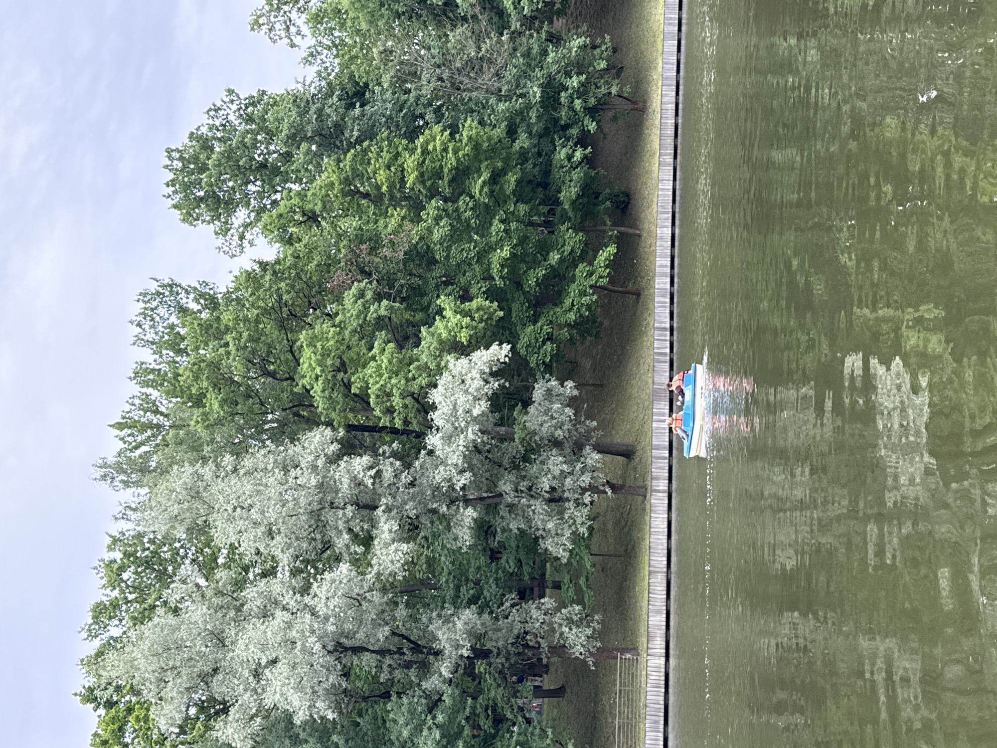 The media file captures a serene outdoor scene of a park with a body of water. Dominating the left side of the frame are lush green trees, interspersed with some silvery-leaved trees, indicating a temperate climate and likely spring or summer. The trees line a wooden boardwalk, suggesting a well-maintained park or recreational area. The boardwalk leads to a small blue pedal boat on the right side of the frame, which is partially submerged in the murky green water. Two individuals are visible in the boat, both wearing orange life vests. The water reflects the trees and the sky, creating an impressionistic effect, with ripples distorting the reflections. The sky above appears overcast, hinting at a cloudy day. The overall mood is tranquil and leisurely, with the presence of the people in the boat suggesting a recreational outing. The image is oriented vertically. Given the location context of Moscow, Russia, this scene could be a typical park setting during warmer months, likely late morning or afternoon, under a cloudy sky. No visible text is present in the image.