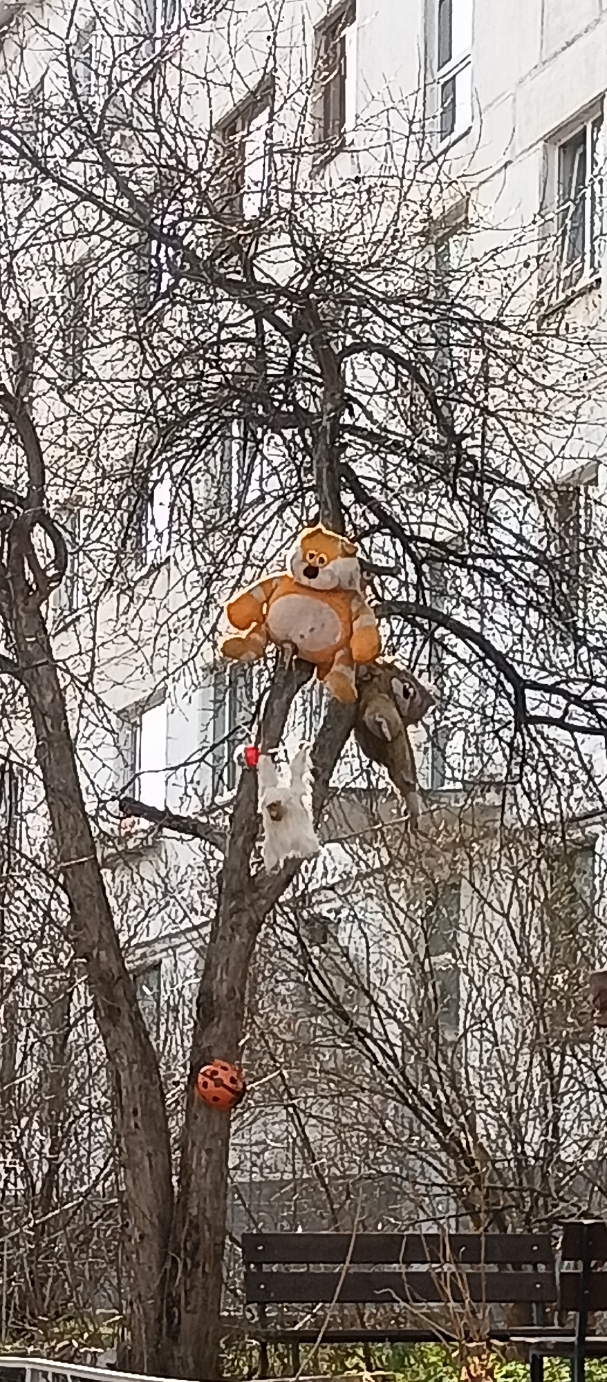 The image depicts a bare tree with several stuffed animals placed in its branches. There's an orange and white tiger-like stuffed toy sitting near the top of the main trunk. Beneath it, there's what appears to be a white stuffed animal. An orange ball, possibly a toy or decoration, is attached to the trunk further down. The tree is situated in an urban environment, likely a park or a yard near a building. A building with multiple windows is visible in the background. A bench sits partially visible near the tree's base. The location is Unknown, Unknown.