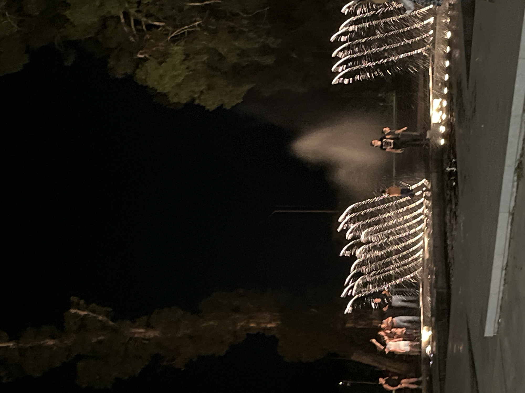 The image shows a nighttime scene at a fountain in Shekvetili, Georgia. Several people are standing around the fountain, some interacting with the water features. The fountain has illuminated water jets creating a curtain-like effect. Two large trees frame the fountain. The sky is dark.