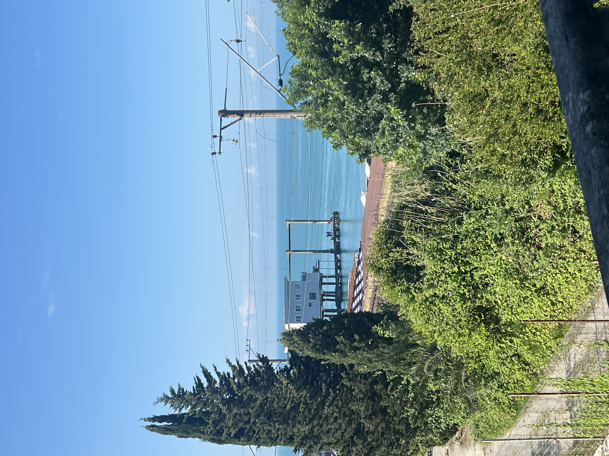 A vertical, eye-level shot captures a serene coastal scene under a clear blue sky. In the foreground, dense green foliage dominates the lower half of the frame, with a faint glimpse of a concrete structure and a wire fence below. Towering cypress trees stand sentinel on the left, their dark green forms contrasting with the vibrant greenery.
Mid-ground reveals the azure expanse of the sea, dotted with a few wispy clouds. A modern, light-blue building on stilts juts out over the water, connected to a pier. Two figures are visible on the pier, their identities indistinguishable from this distance. Adjacent to the pier, neatly arranged rows of what appear to be lounge chairs or beach beds are set out, hinting at a recreational area. Overhead, a network of power lines and utility poles crisscrosses the sky, adding a man-made element to the natural beauty. The scene suggests a tranquil day by the sea, possibly a resort town or a coastal park.
