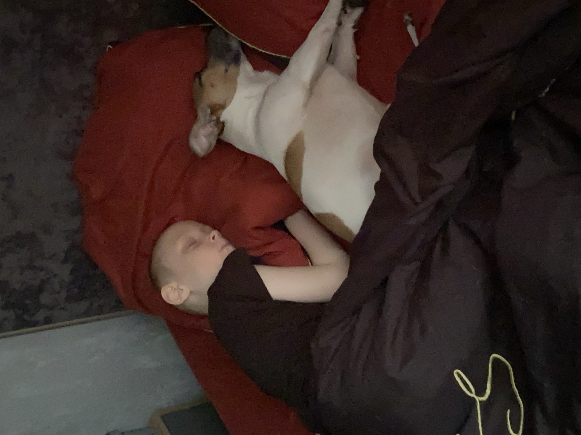 A child is sleeping on a red cushion or bed with a dog. The dog is white with brown spots and is lying on its back. The child is lying on their side, facing the dog. The child is wearing a black shirt and black pants. The scene appears to be indoors. The image does not provide enough information to determine the location is in the city of Noviy, Russia.