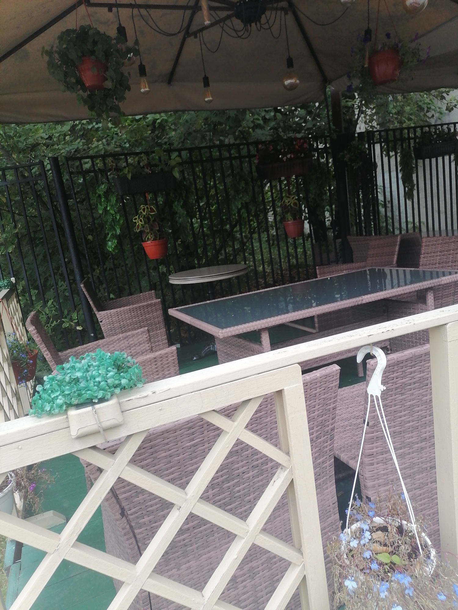 The image shows an outdoor seating area with rattan furniture, a table, and several hanging plants. The furniture is arranged around a large rectangular table with a glass top. The area is covered by a tan umbrella, and there are several decorative lights hanging from it. A black metal fence encloses the seating area, and beyond the fence, there are trees and greenery. In the foreground, there is a white lattice fence. There are no people visible in the image.