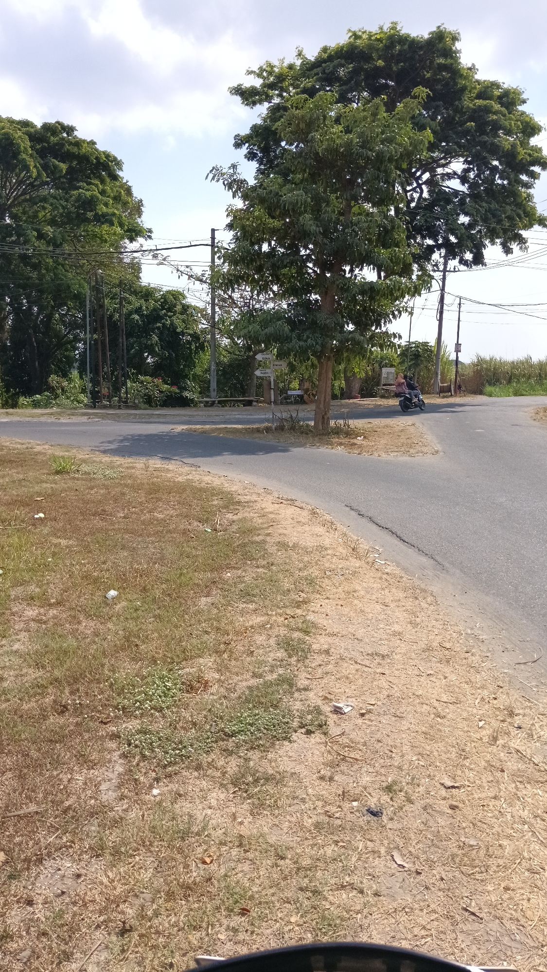 The image depicts a road intersection in Wates, Indonesia, under a bright, partly cloudy sky. The road surface is asphalt and appears to be in fair condition, with some cracking visible. On the left side of the road, a dry, grassy area is present, scattered with some litter. On the right, the road curves, and beyond it, there are tall trees with dense green foliage. A single motorcycle, carrying two individuals, is captured in motion, turning right at the intersection. In the background, utility poles with overhead wires are visible, along with more trees and a field of tall, light-colored vegetation, possibly sugarcane. A small directional sign with multiple arrows is also present near the intersection. The overall environment suggests a rural or semi-rural setting within Wates.