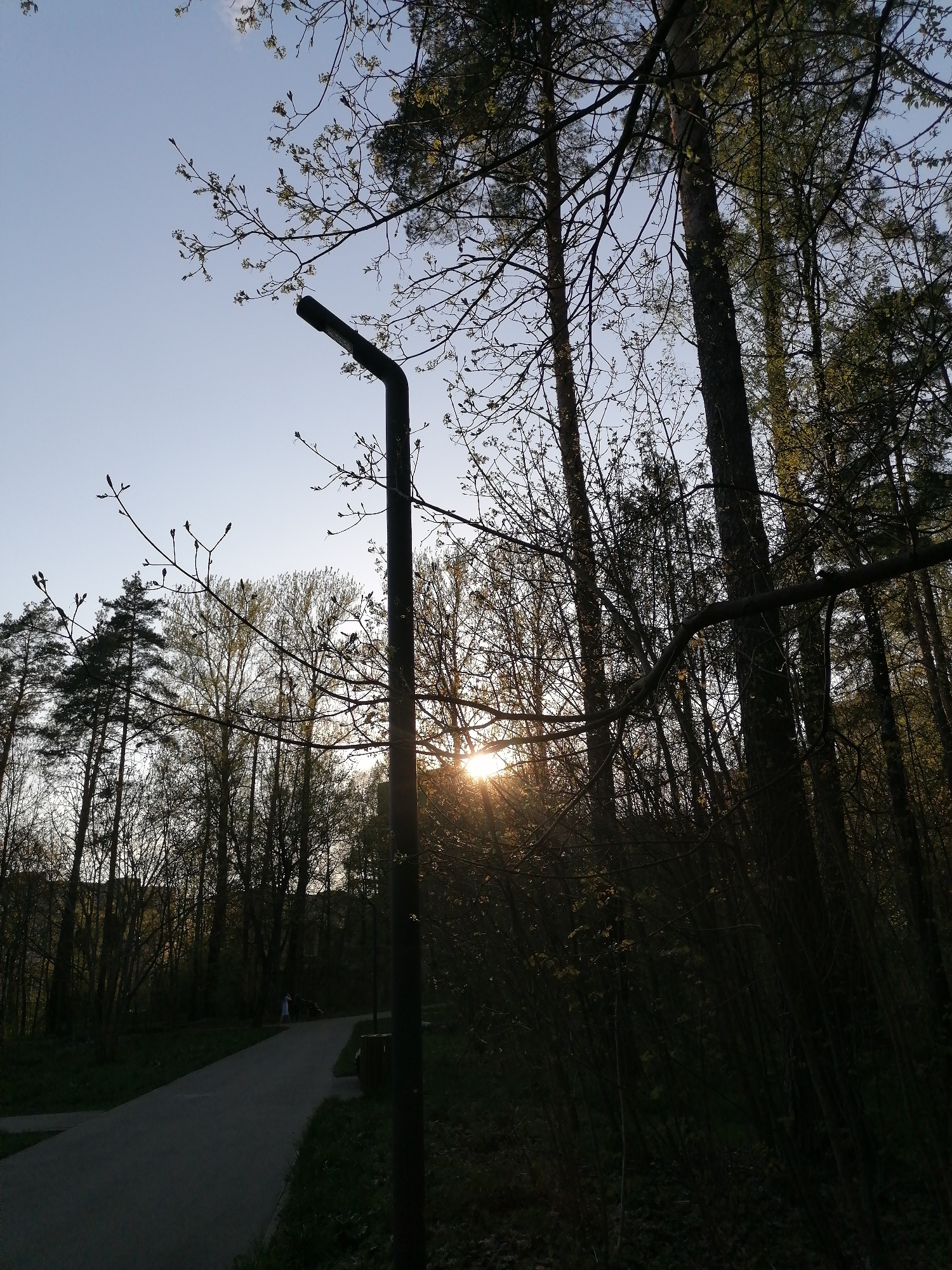 The image shows a park landscape at dusk. In the foreground is a black lamppost without a light fixture. A paved path extends from the lower left corner into the midground, where two figures, one taller and one smaller, are walking away. The path is bordered by trees and vegetation, some of which are heavily shadowed. Behind the trees, the sun is setting, casting a bright glare through the branches. The background is a mix of trees and a building or structure obscured by foliage. The sky is pale blue, transitioning to a lighter hue near the horizon.